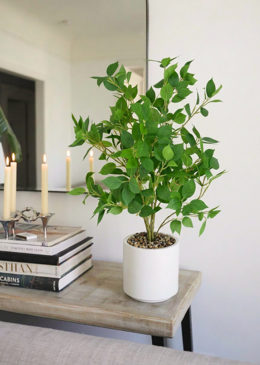 Artificial Ficus Plant- 2 Feet