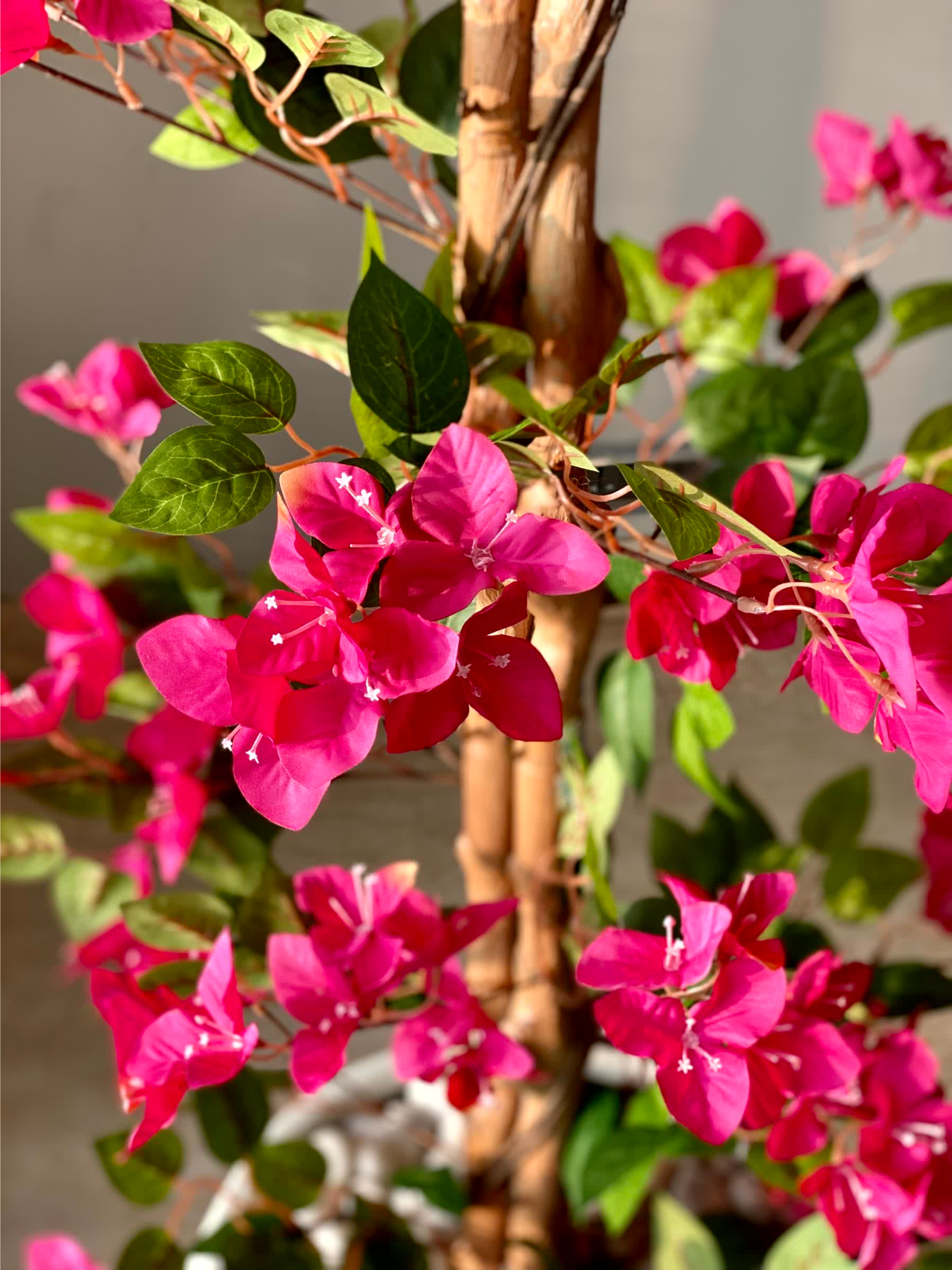 Artificial Veil Bougainvillea Plant - 5 Feet