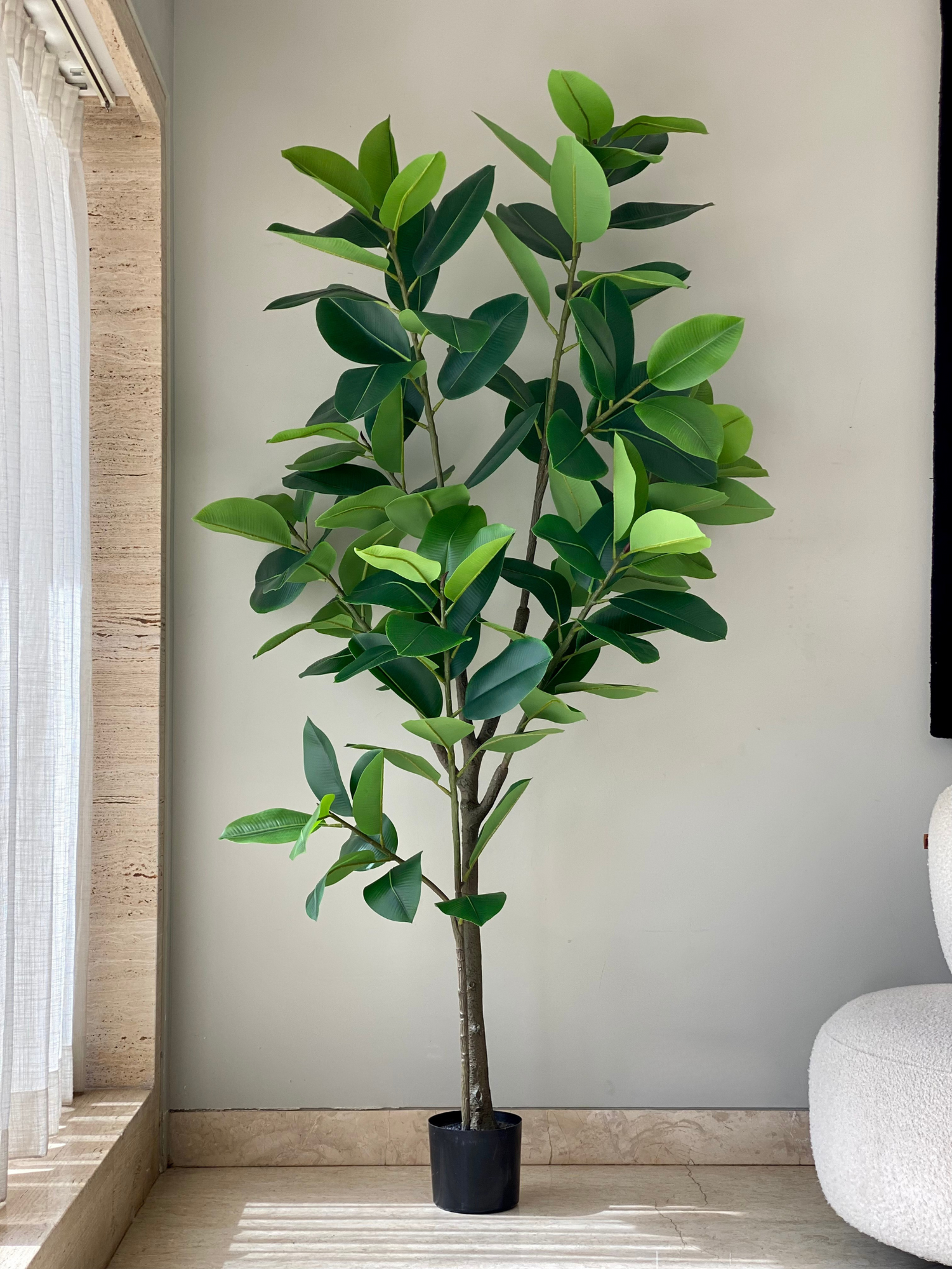 Artificial Evergreen Rubber Plant - 6.5 Feet