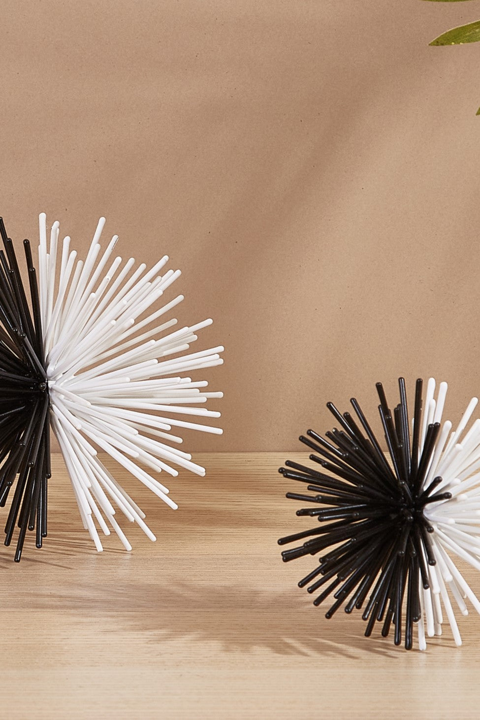 Sunburst Black & White Spheres - Set Of 2