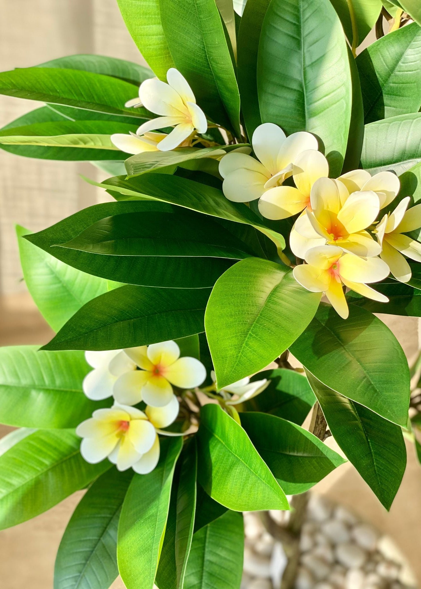 Artificial Frangipani Bloom Plant - 4 Feet