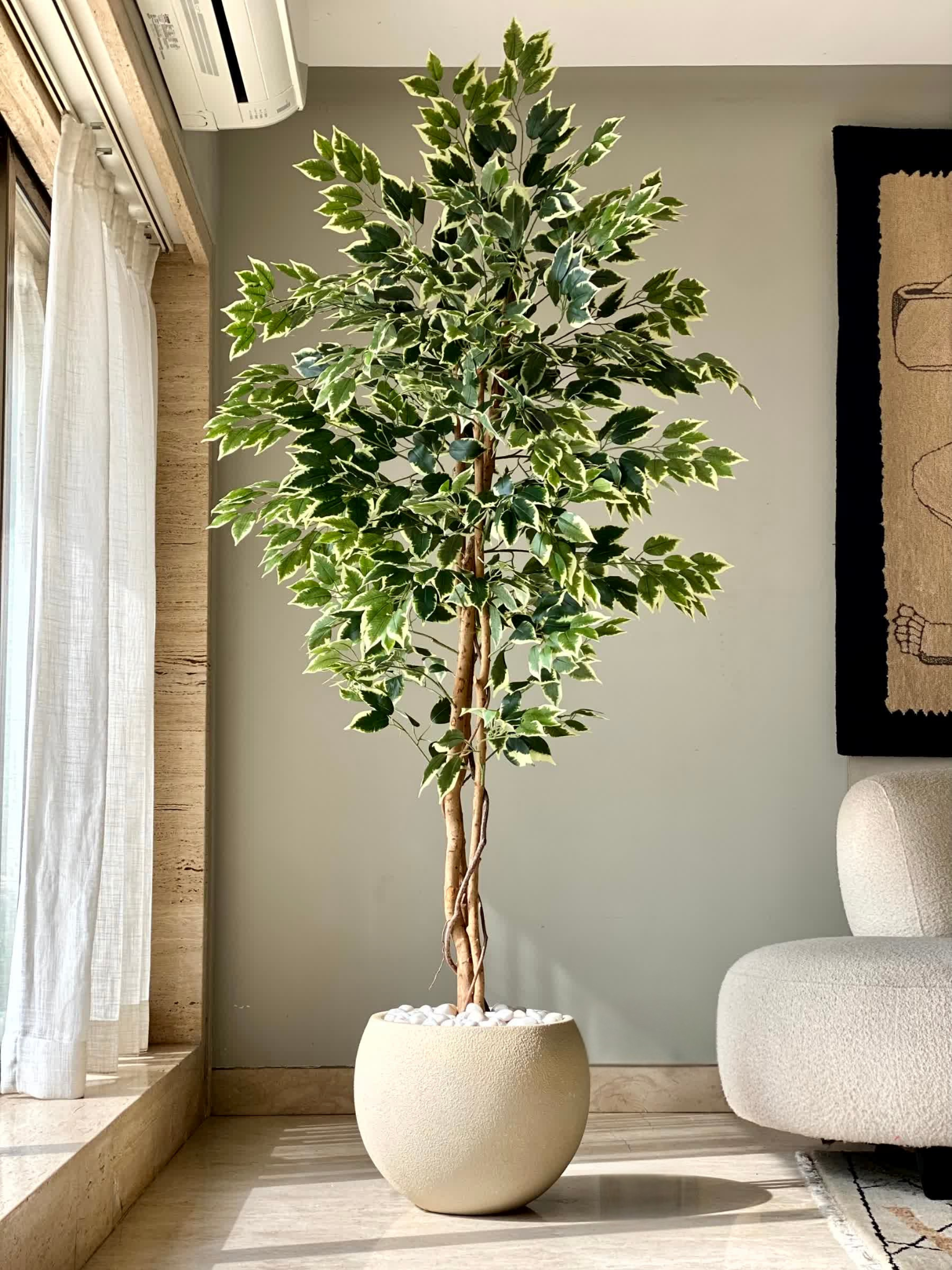 Artificial Variegated Dried Ficus Plant - 6.5 Feet