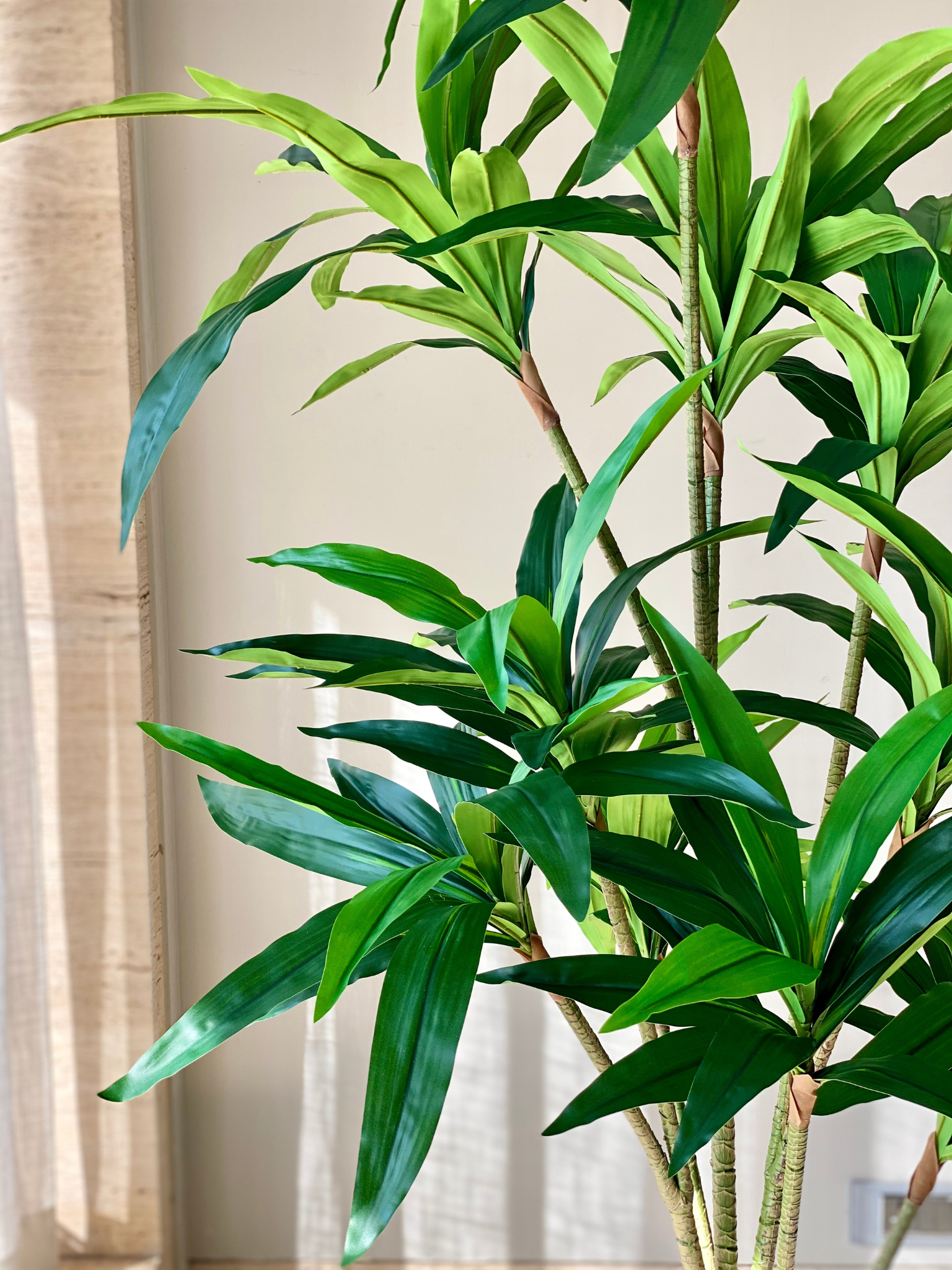 Artificial Botanic Dracaena Plant - 6 Feet
