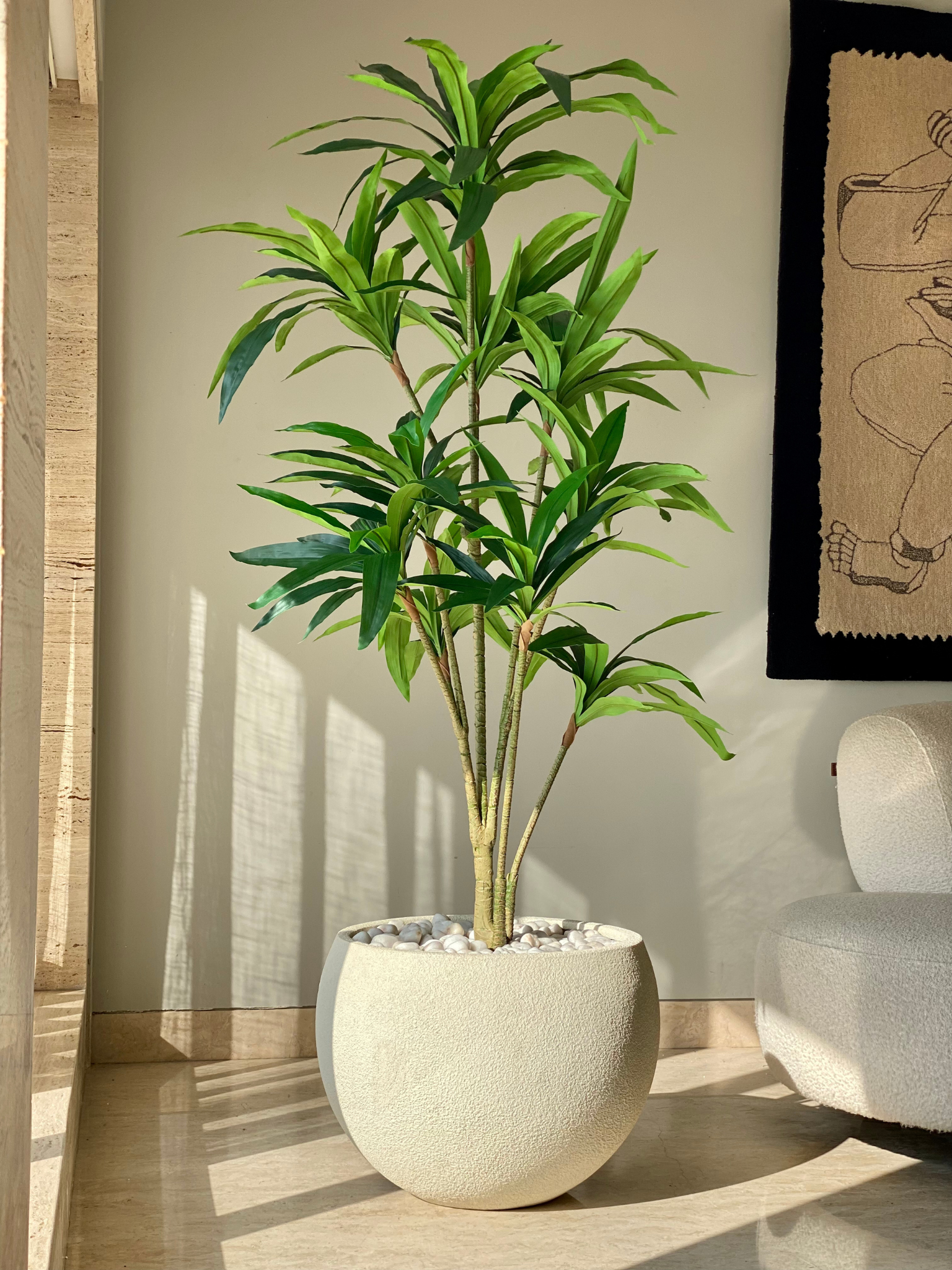 Artificial Botanic Dracaena Plant - 6 Feet
