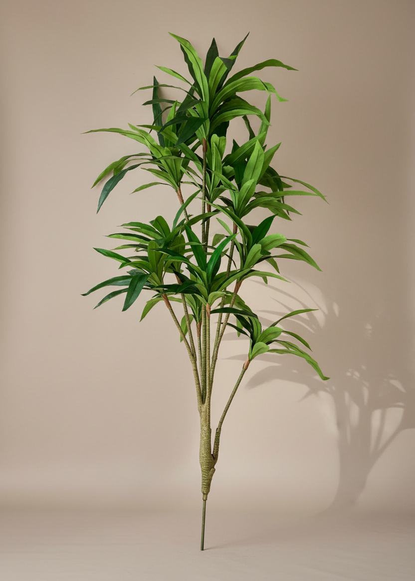 Artificial Botanic Dracaena Plant - 6 Feet