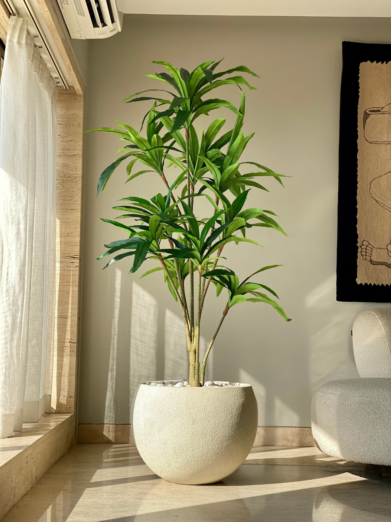 Artificial Botanic Dracaena Plant - 6 Feet