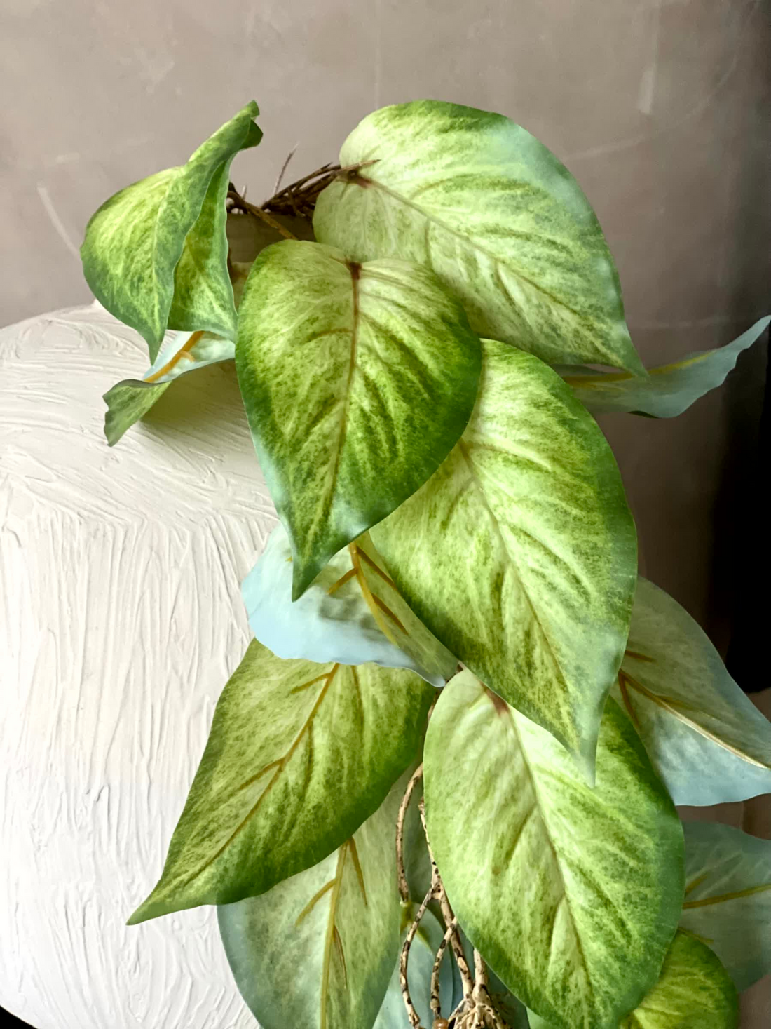 Artificial Burros Creeper