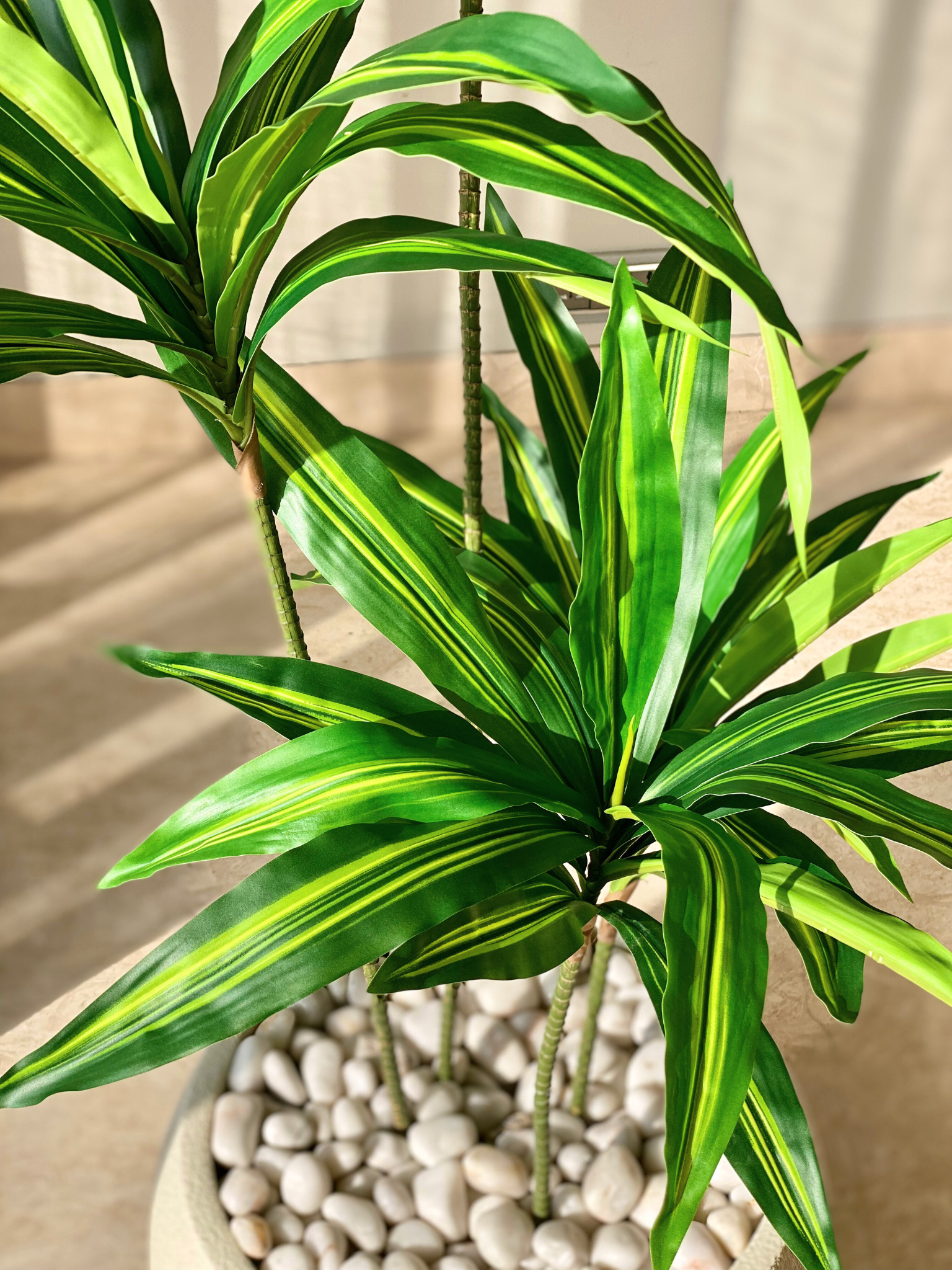 Artificial Botanic Dracaena Plant - 4.5 Feet