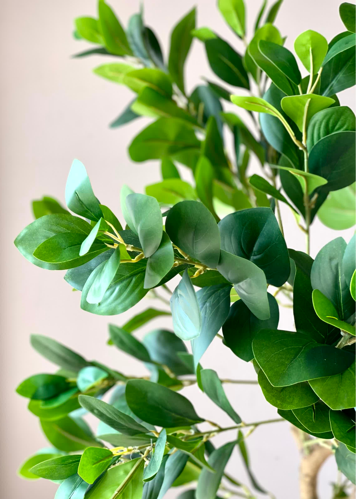 Artificial Serene Peperomia Plant - 5 Feet