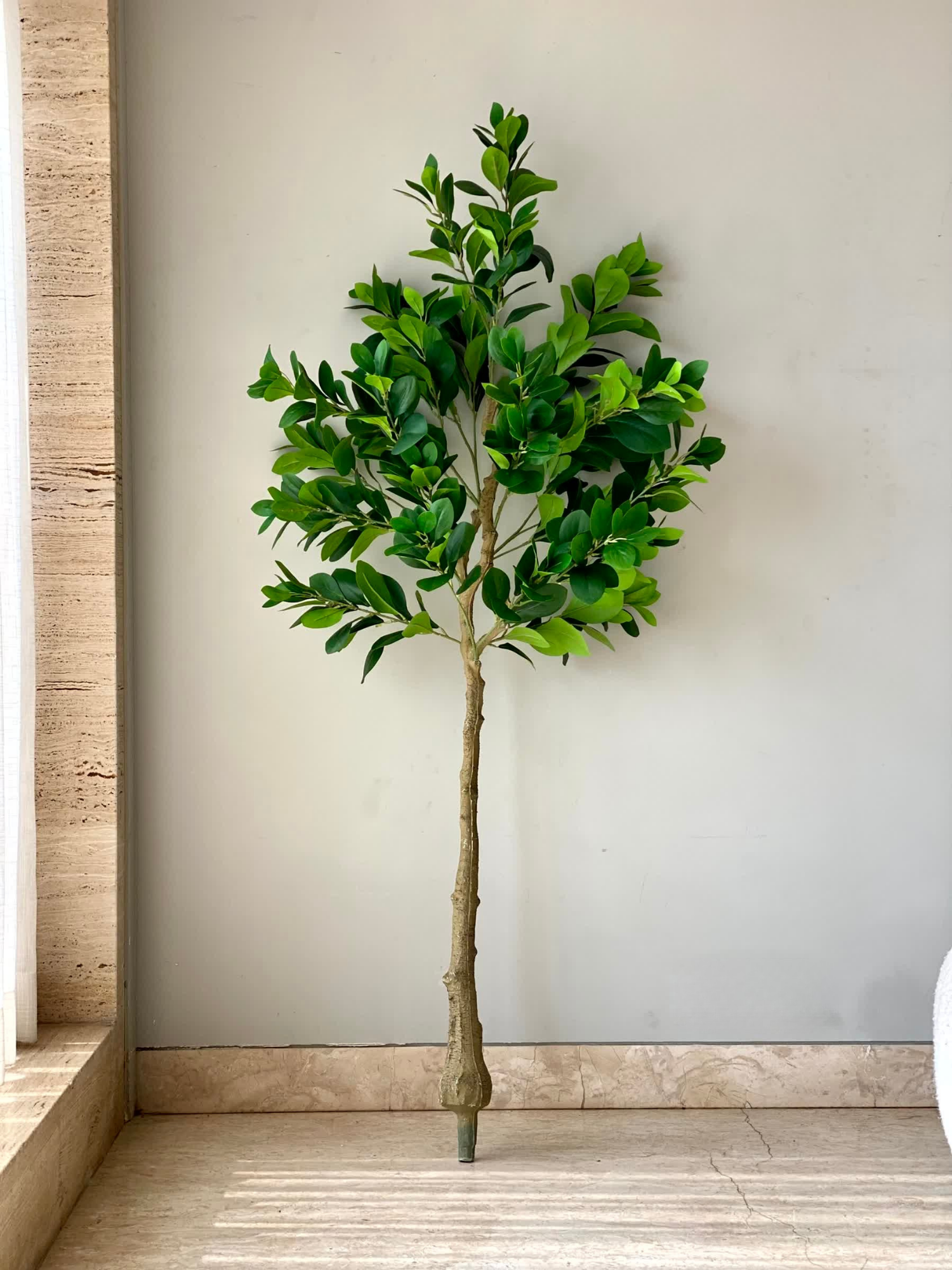 Artificial Serene Peperomia Plant  - 5 Feet