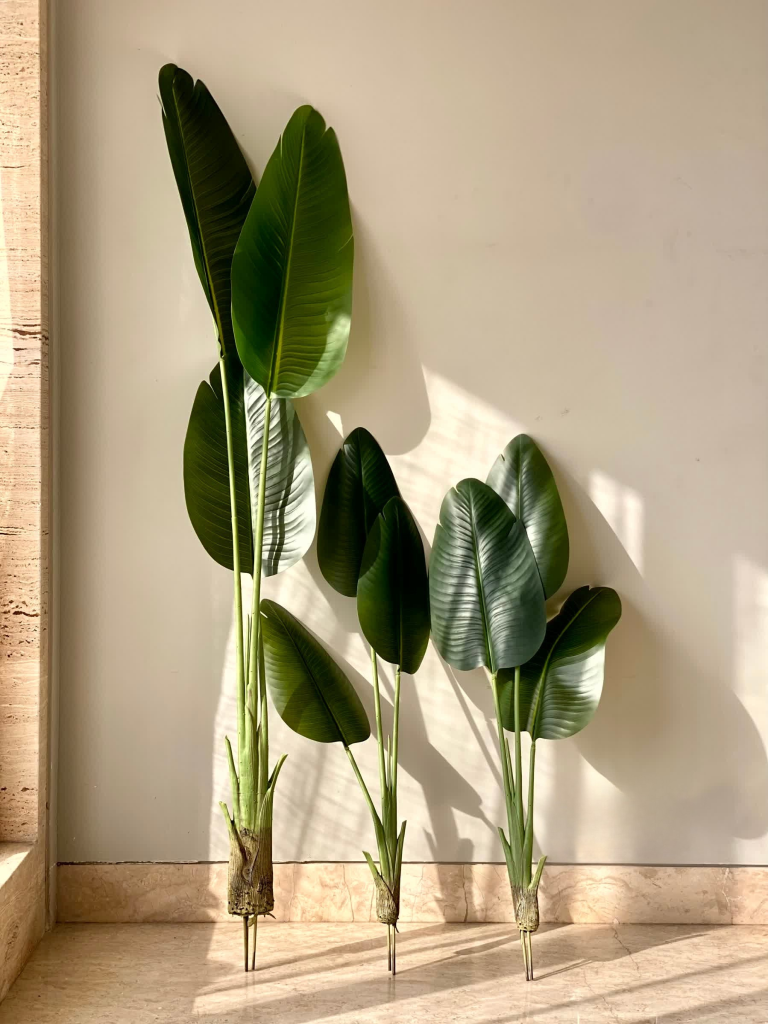 Artificial Cavendish Traveller Plant - 5 Feet
