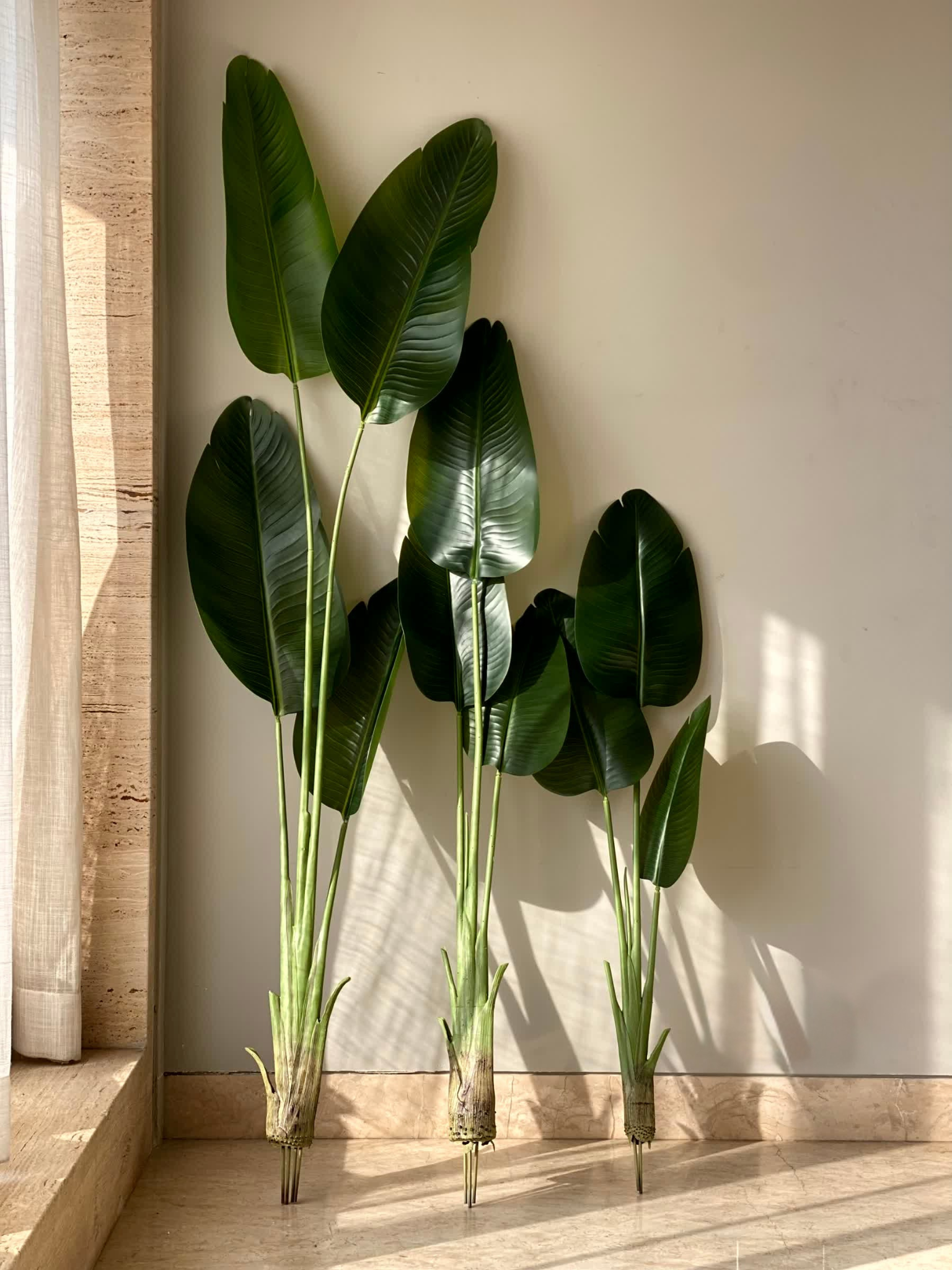 Artificial Cavendish Traveller Plant - 6 Feet