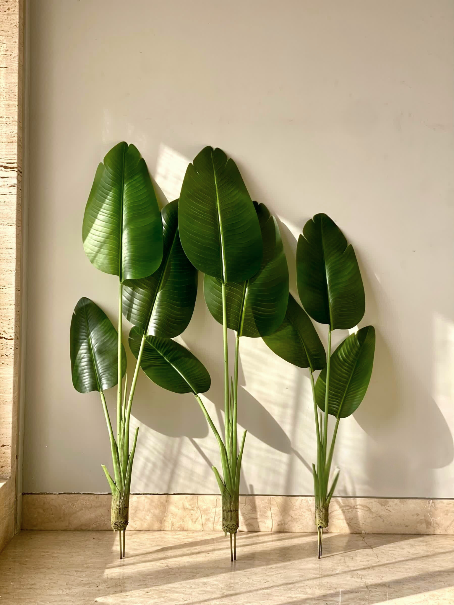 Artificial Cavendish Traveller Plant - 4 Feet