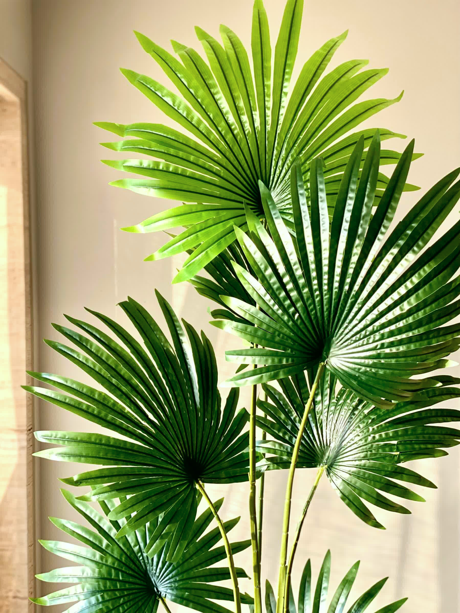 Artificial Palmetto Plant - 6 Feet