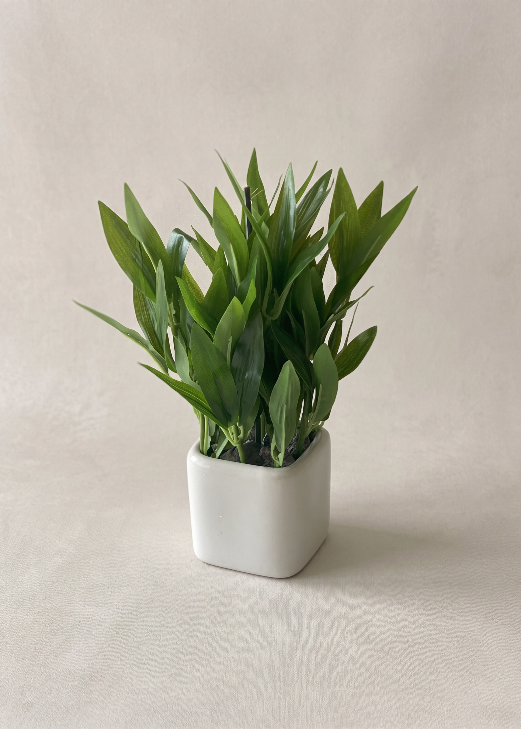 Artificial Evergreen Tabletop Plant