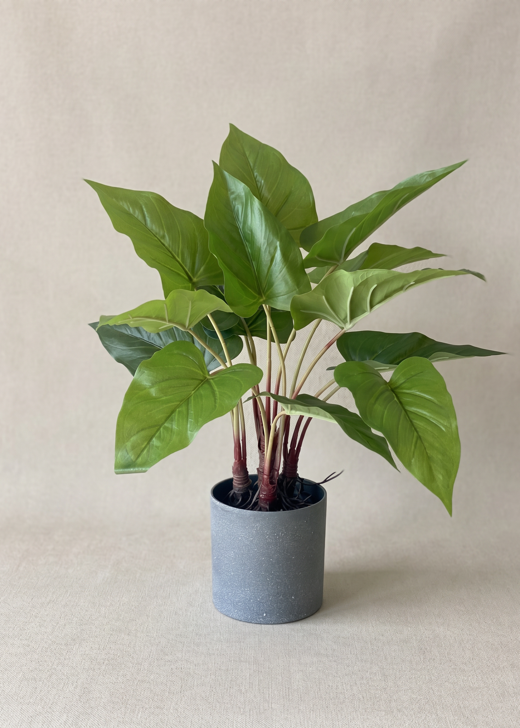 Artificial Green Pothos Plant - 1.5 Feet