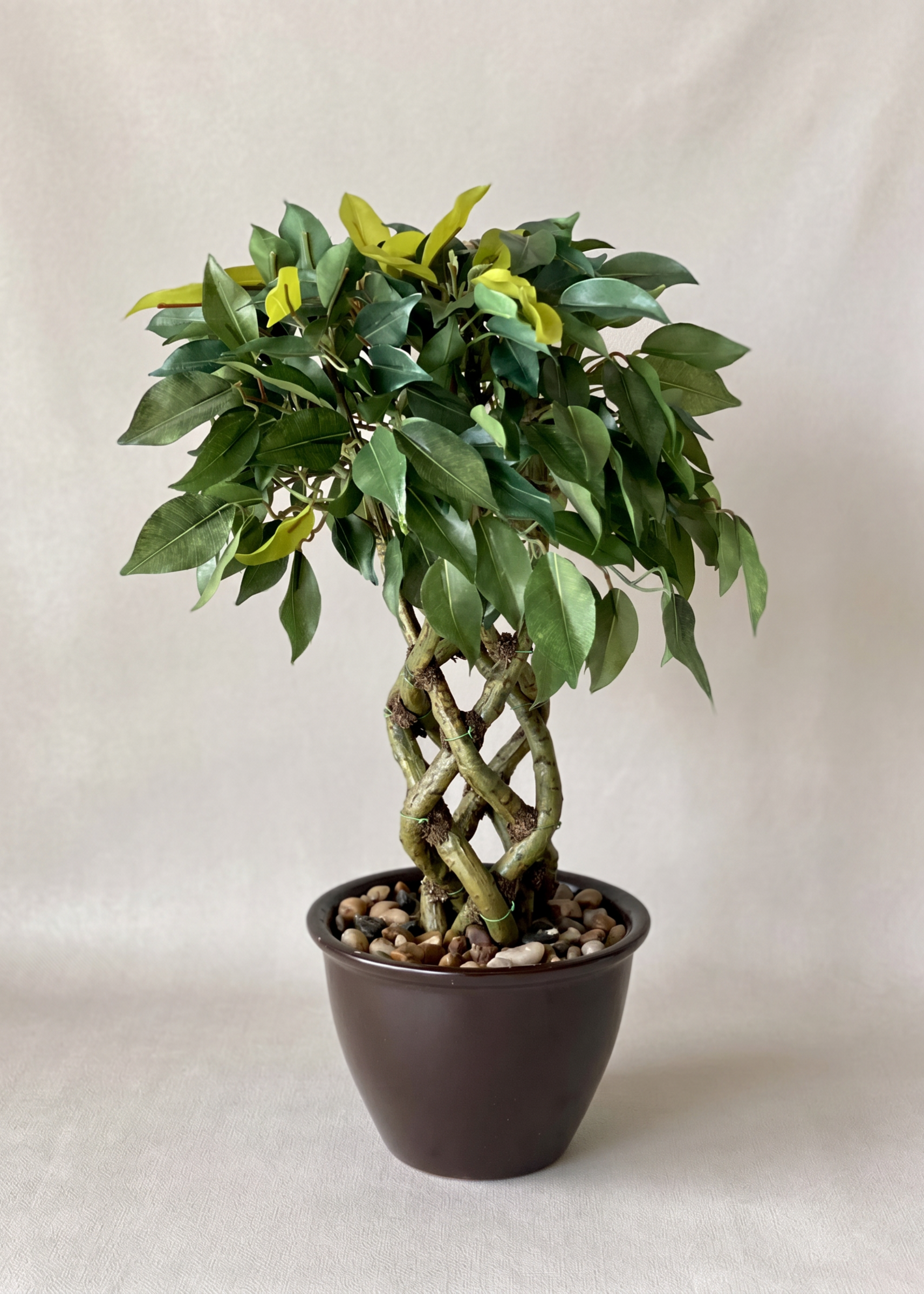 Artificial Ficus Bonsai Plant - 1.3 Feet