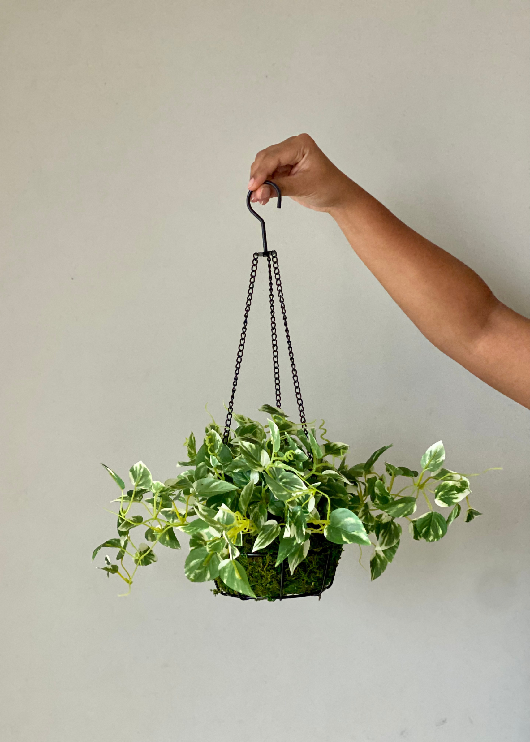 Artificial Trailing Pothos Hanging Plant - 1.7 Feet