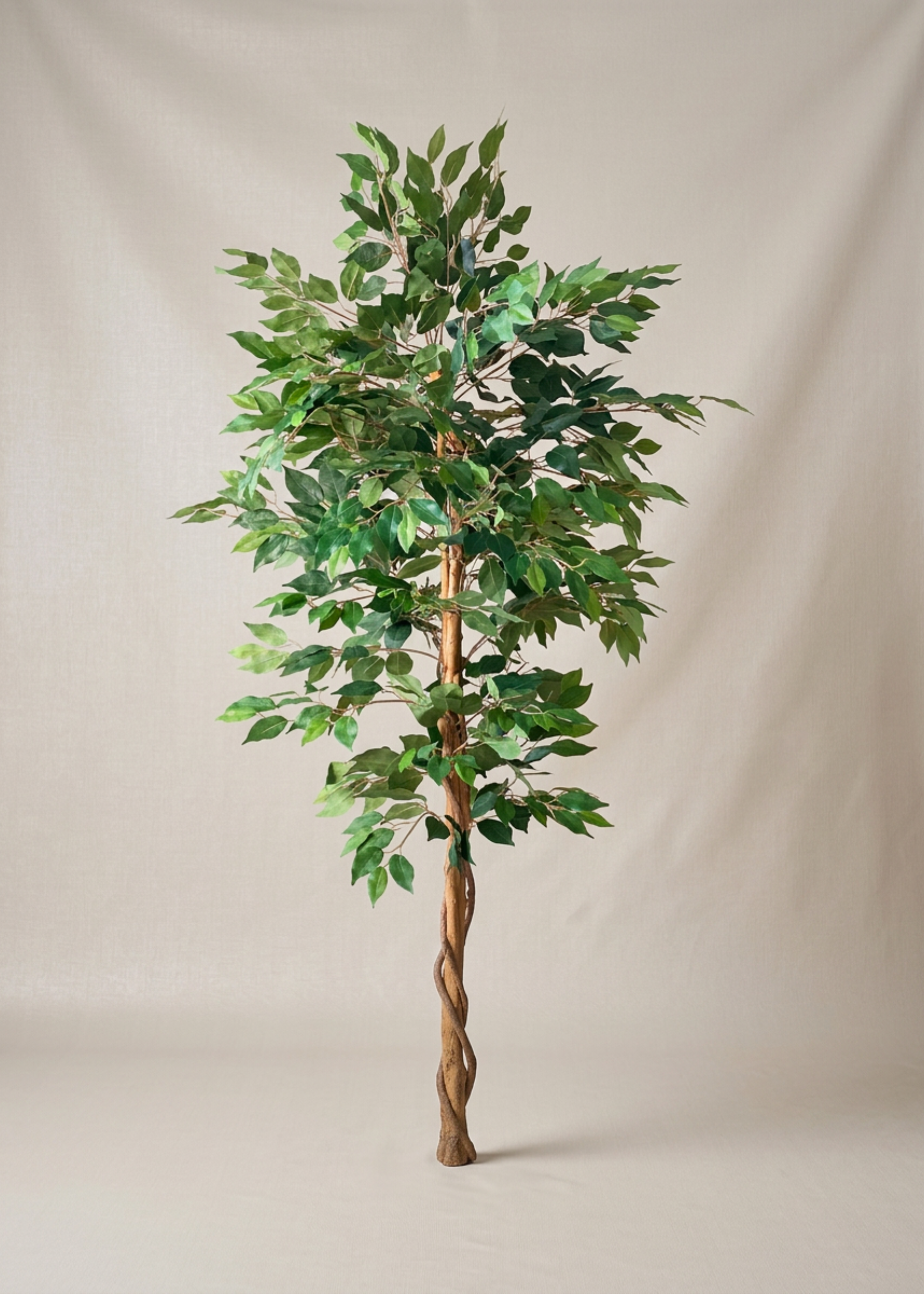 Artificial Weeping Ficus Plant - 5 Feet