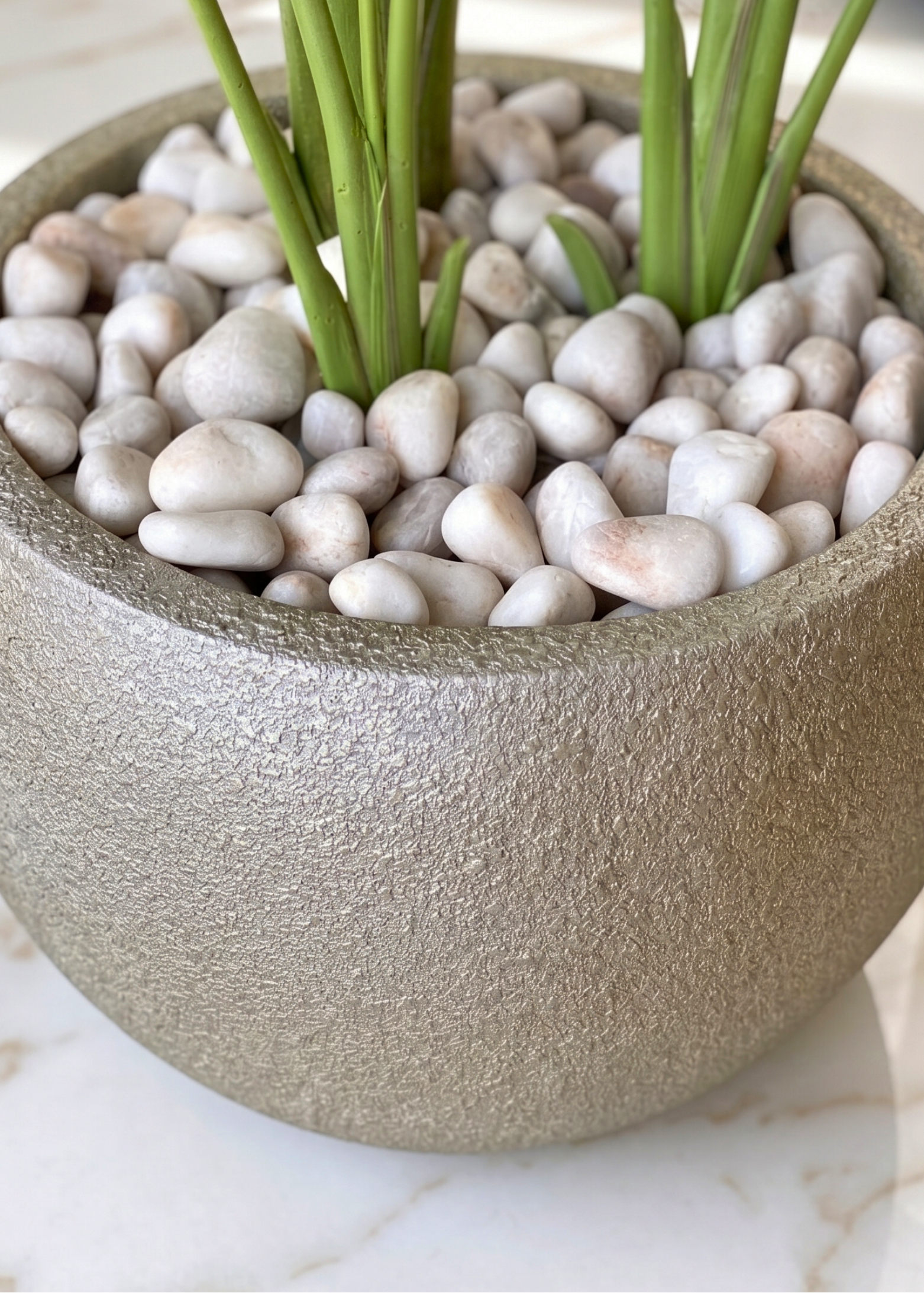 Pebbles – White Polished Stones