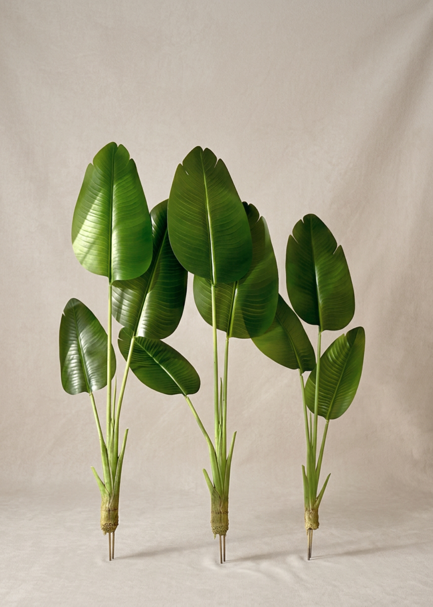 Artificial Cavendish Traveller Plant - 4 Feet