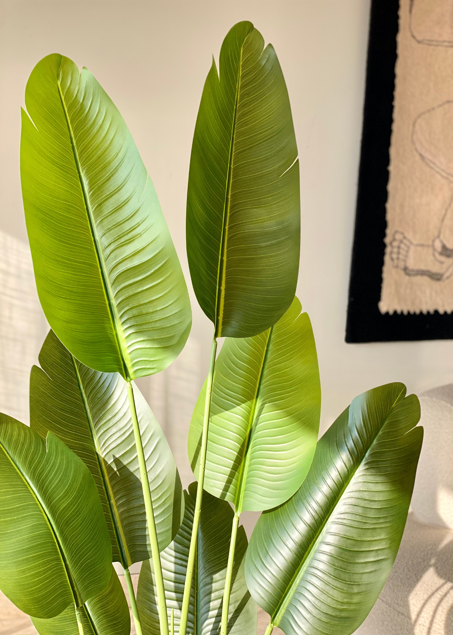 Artificial Cavendish Traveller Plant - 5 Feet