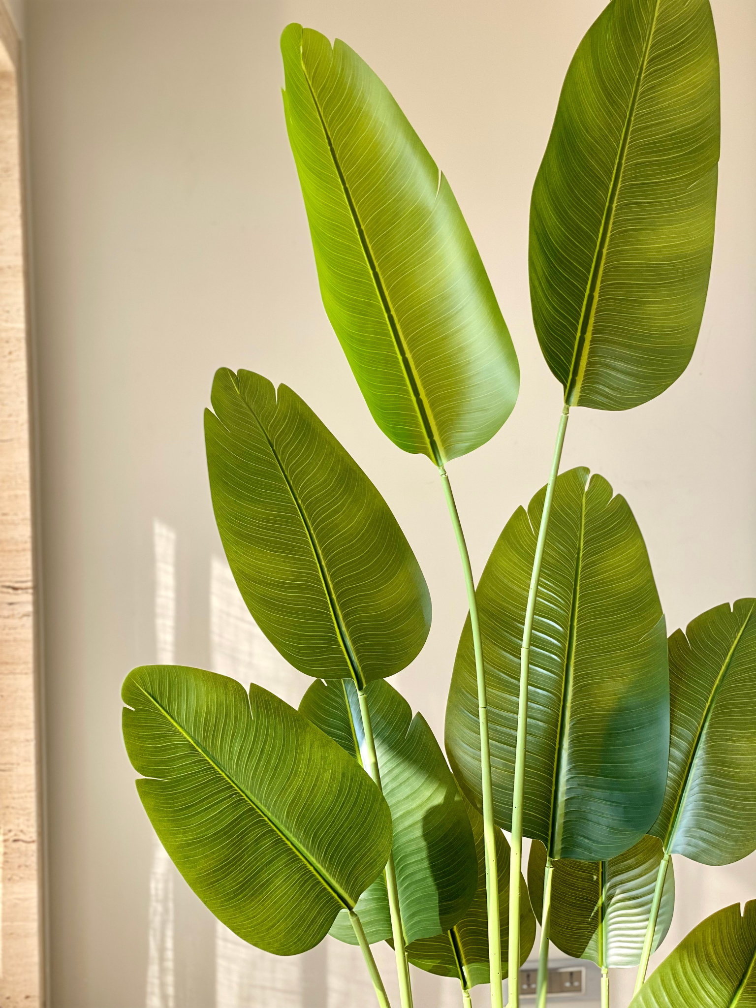 Artificial Cavendish Traveller Plant - 6 Feet