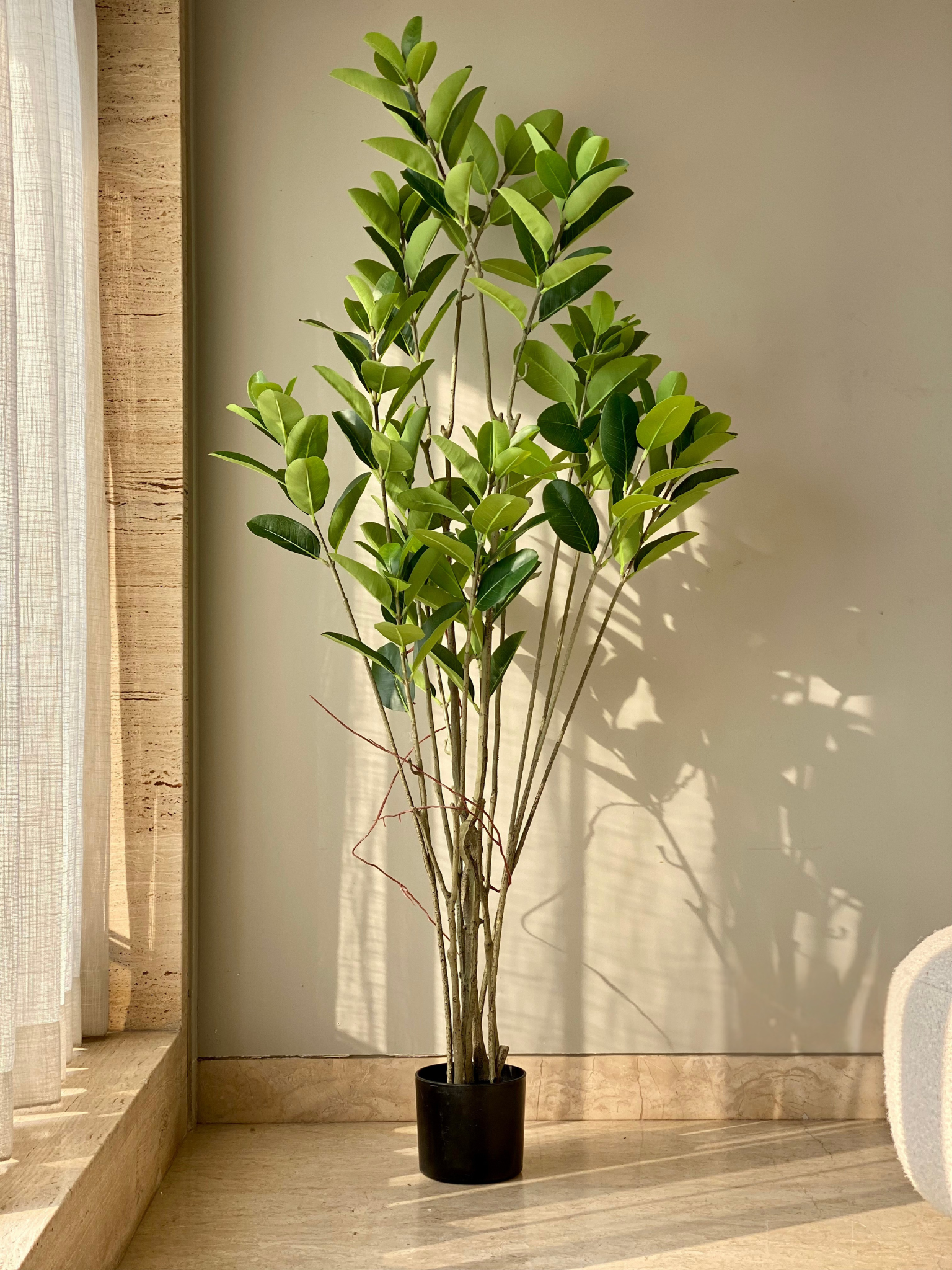 Artificial Magnolia Leaf Plant - 5.5 Feet