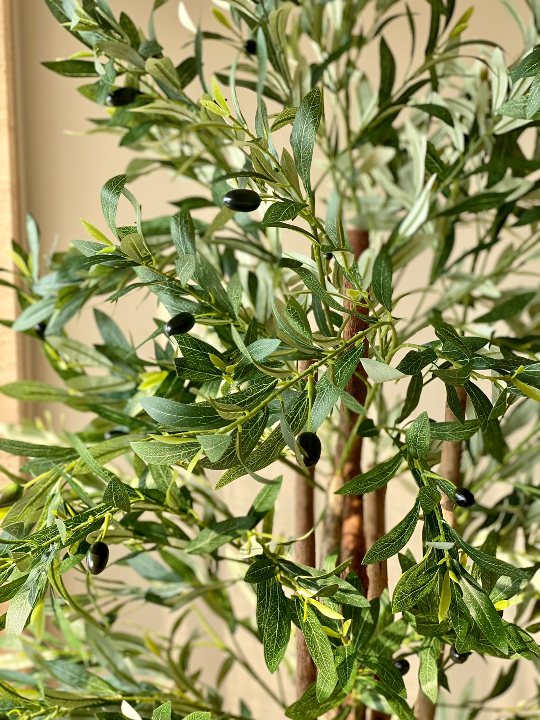 Artificial Tropical Olive Plant - 6 Feet