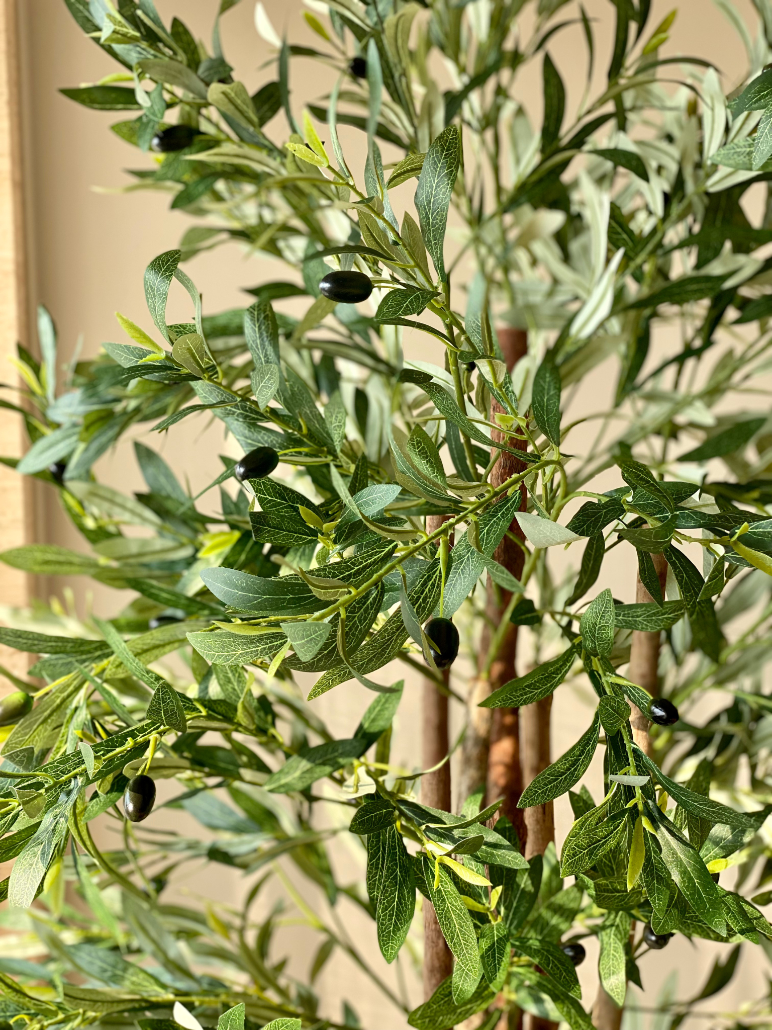 Artificial Tropical Olive Plant - 6 Feet