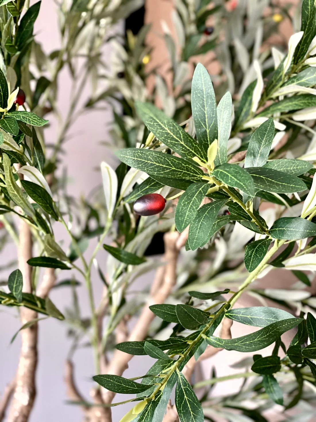 Artificial Olive Allure Plant - 6 Feet