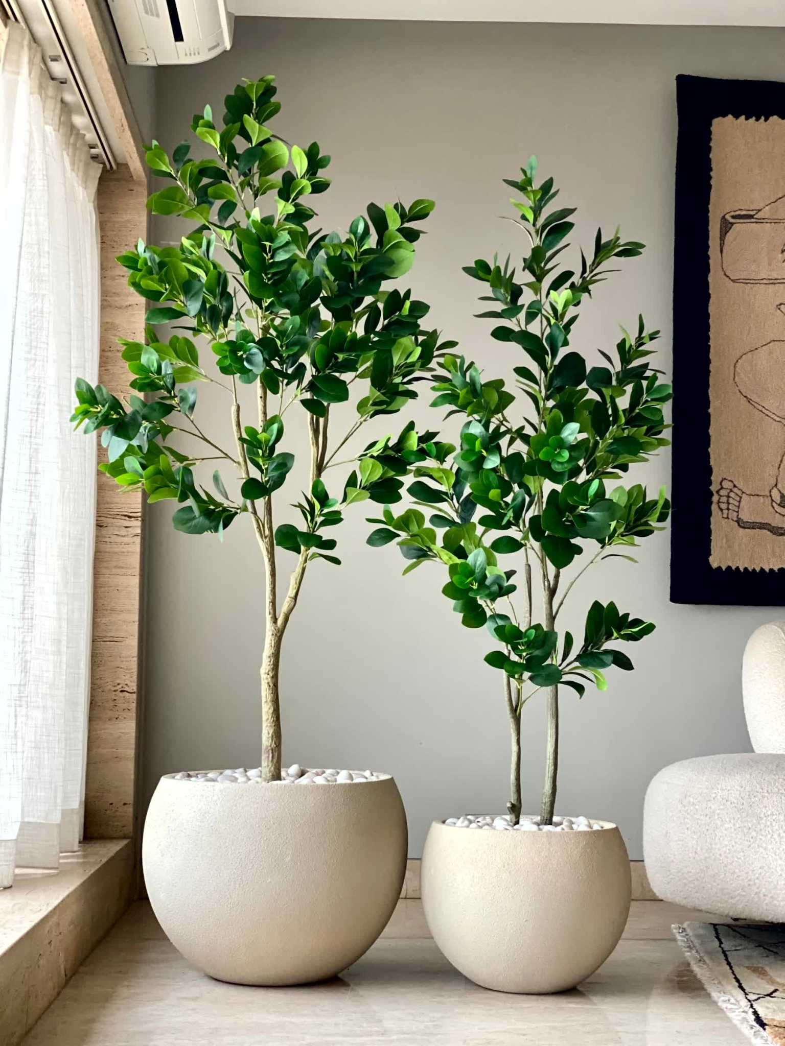 Artificial Wild Peperomia Plant - 5 Feet