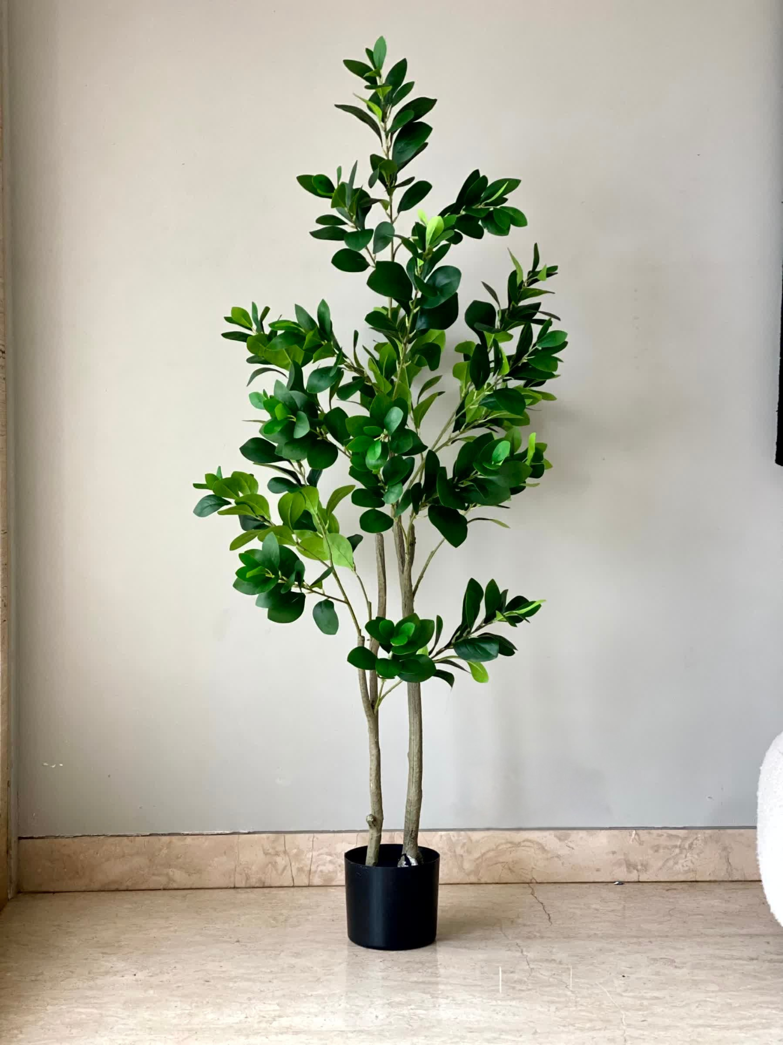 Artificial Wild Peperomia Plant - 5 Feet