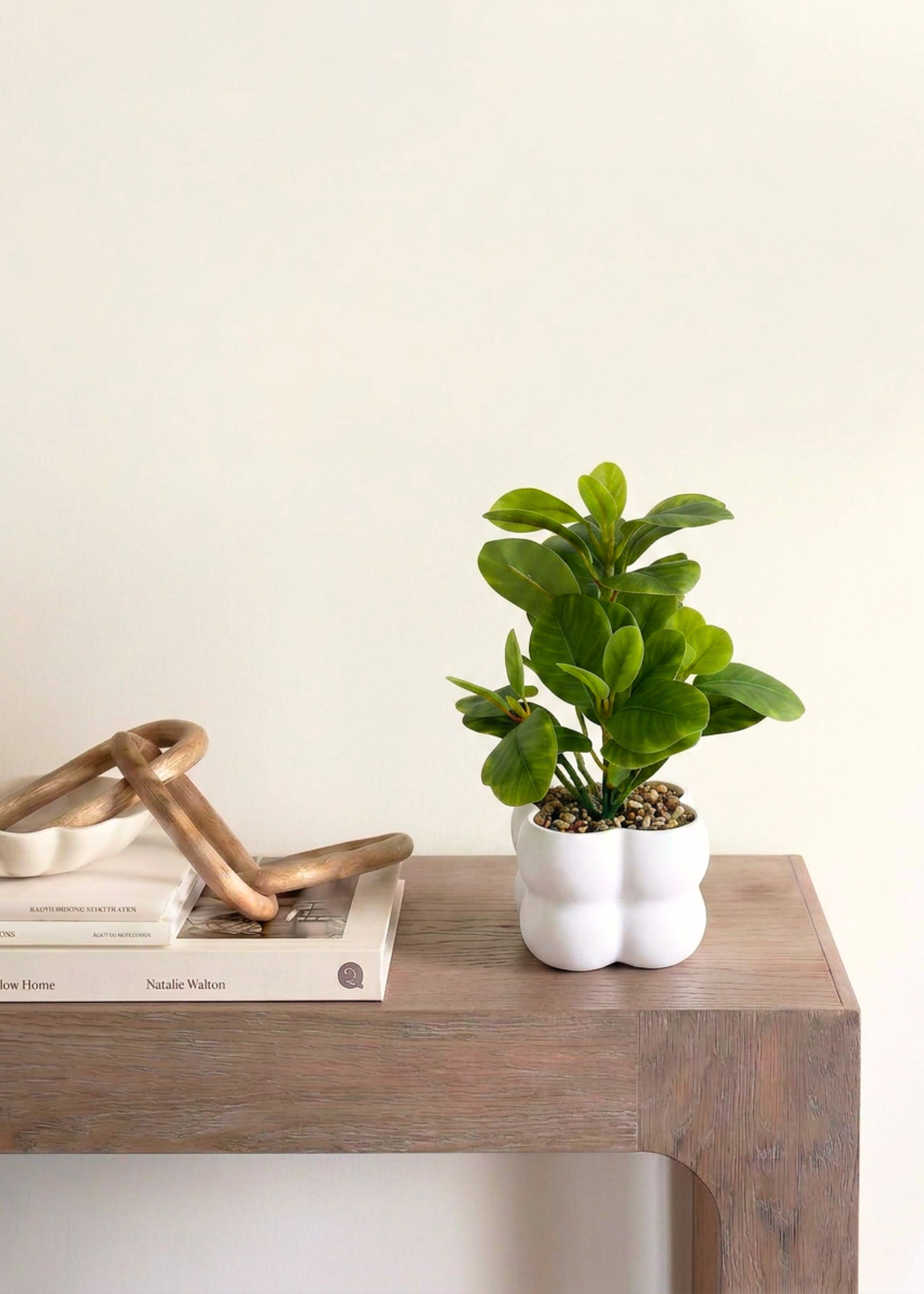 Artificial Peperomia Plant