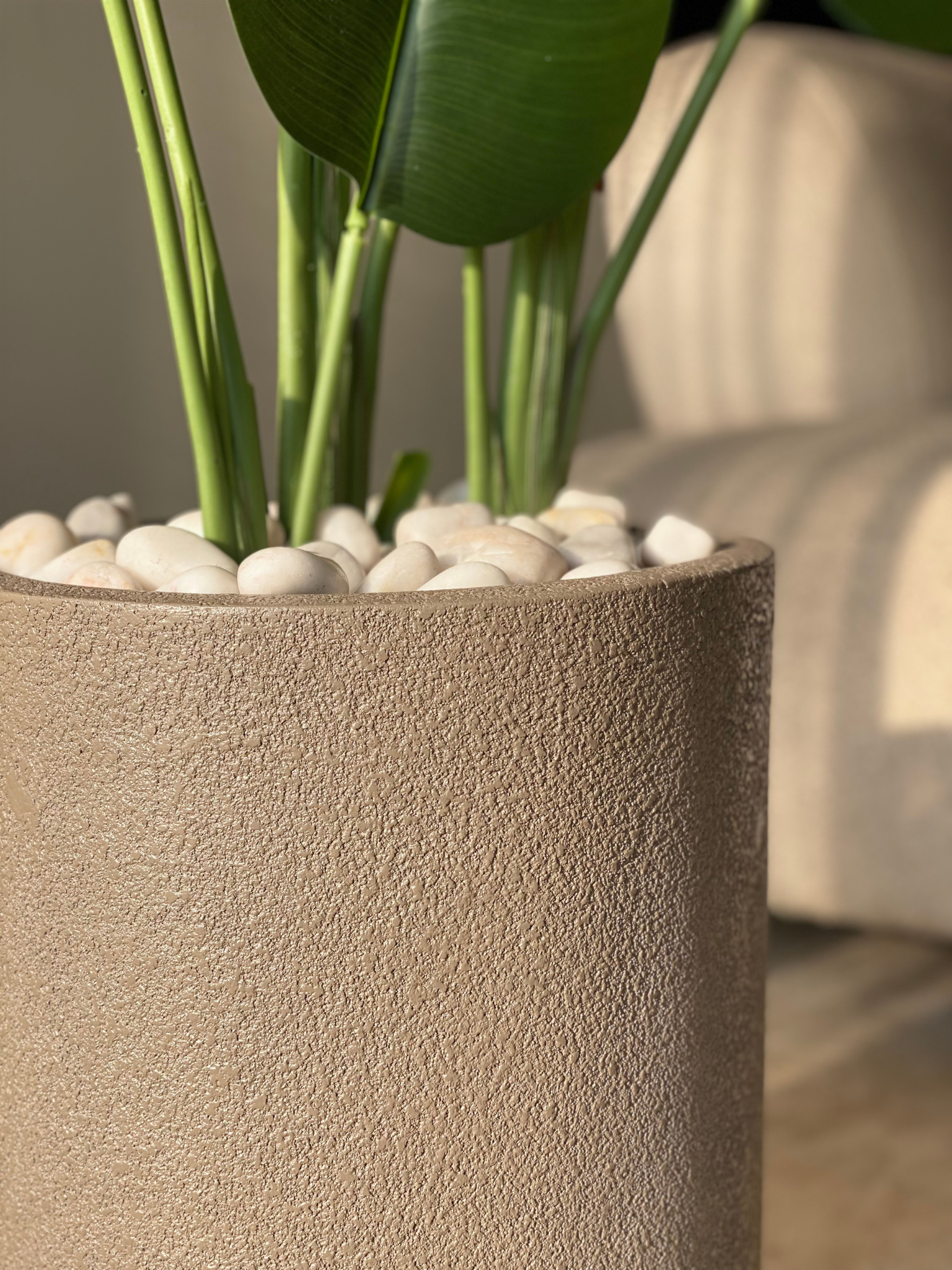 Lassa Planters - Mud Brown