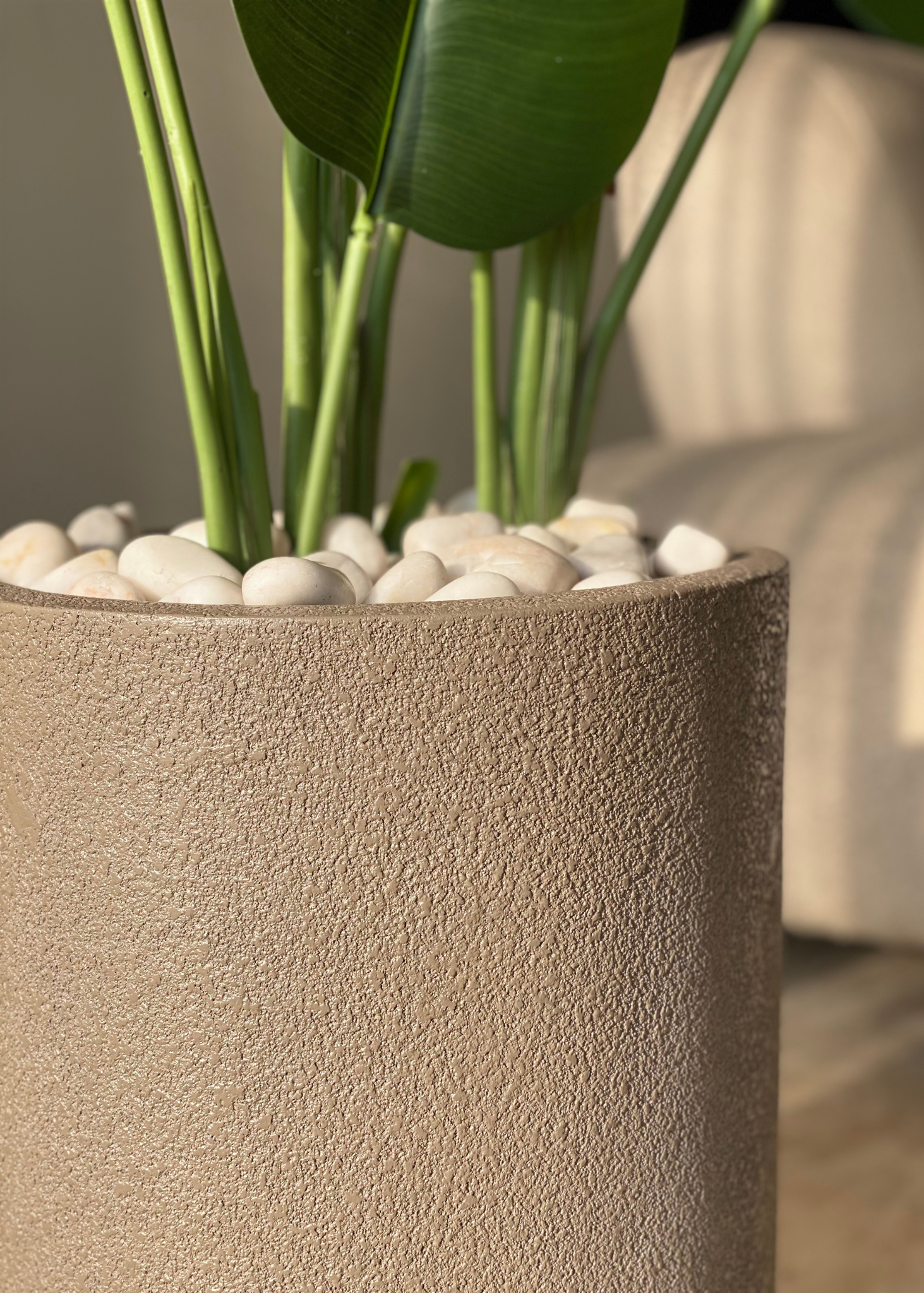 Lassa Planters - Mud Brown