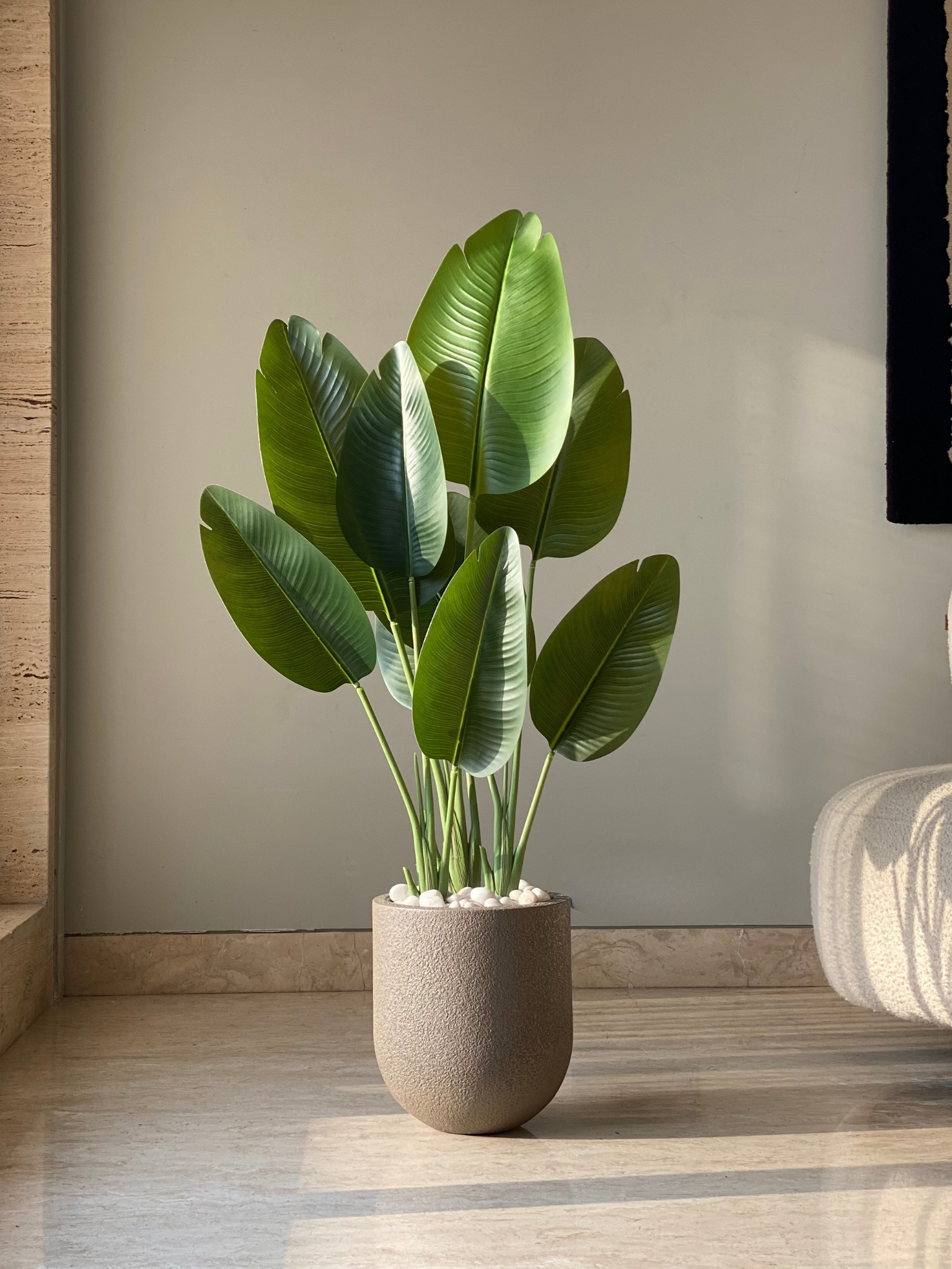 Lassa Planters - Mud Brown