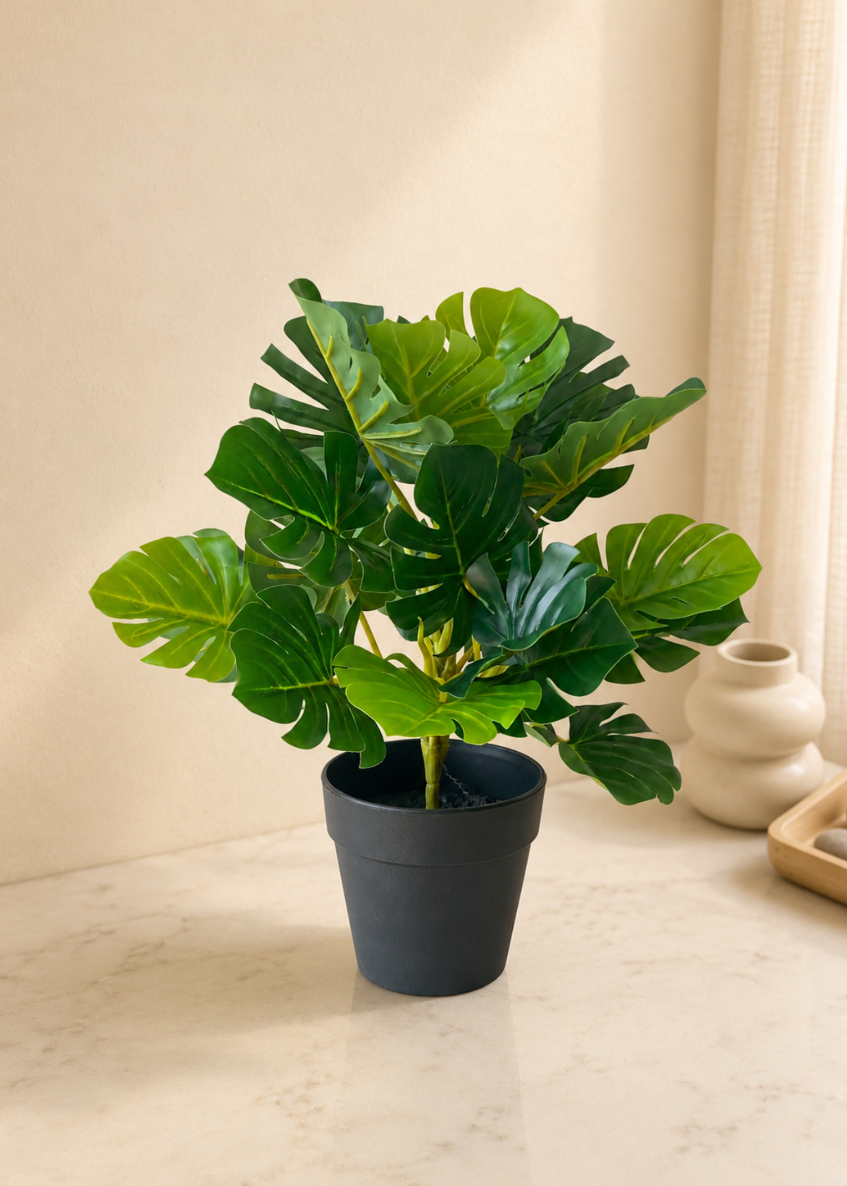 Artificial Bachia Monstera Plant - 1 Feet