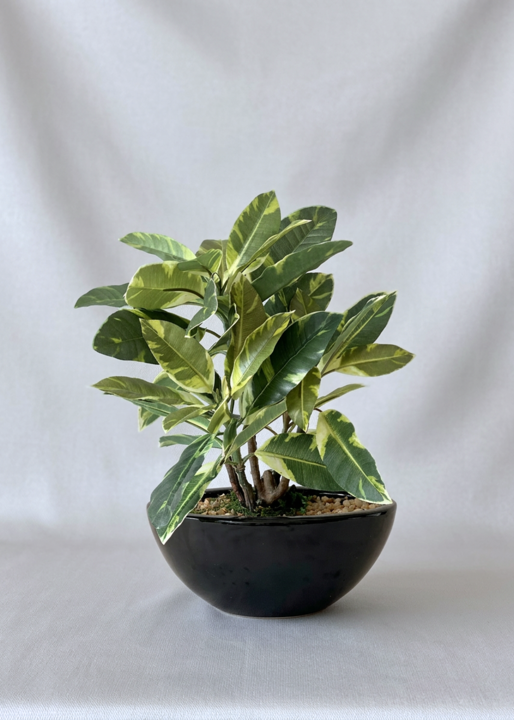 Artificial White Quercus Plant - 1 Feet
