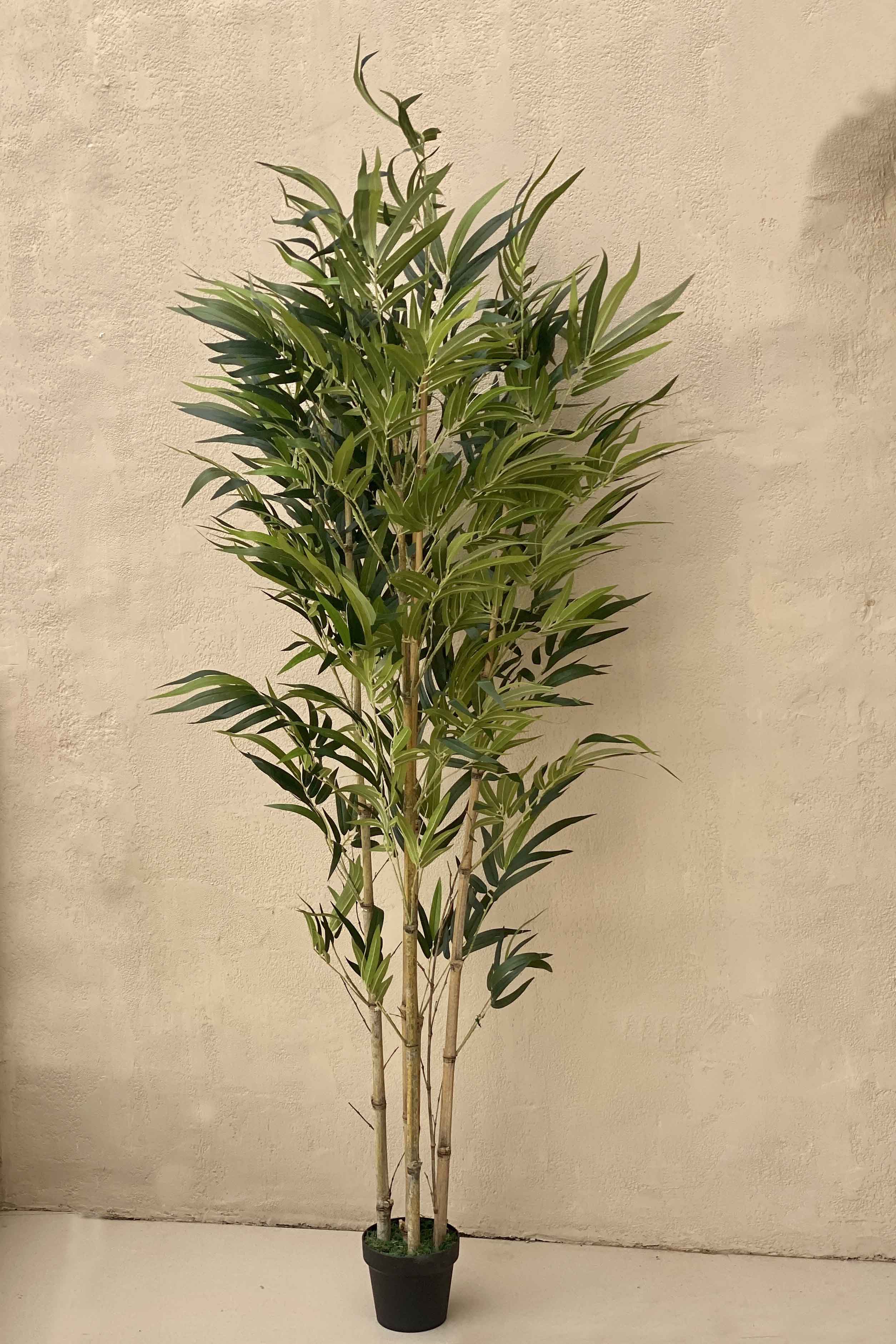Artificial Bamboo Plant - 6.5 Feet (With Base Pot)