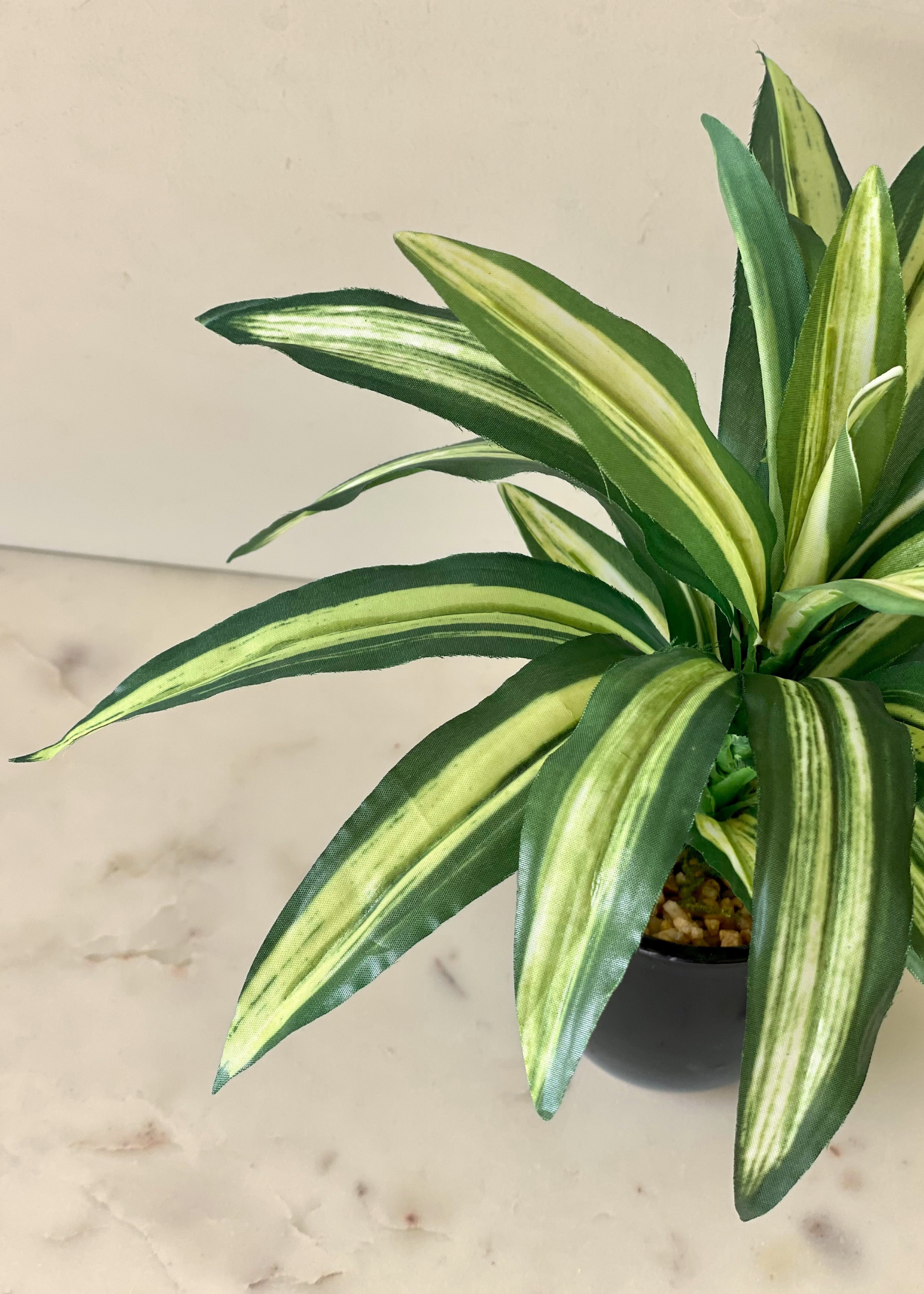 Artificial Variegated Dracaena Plant