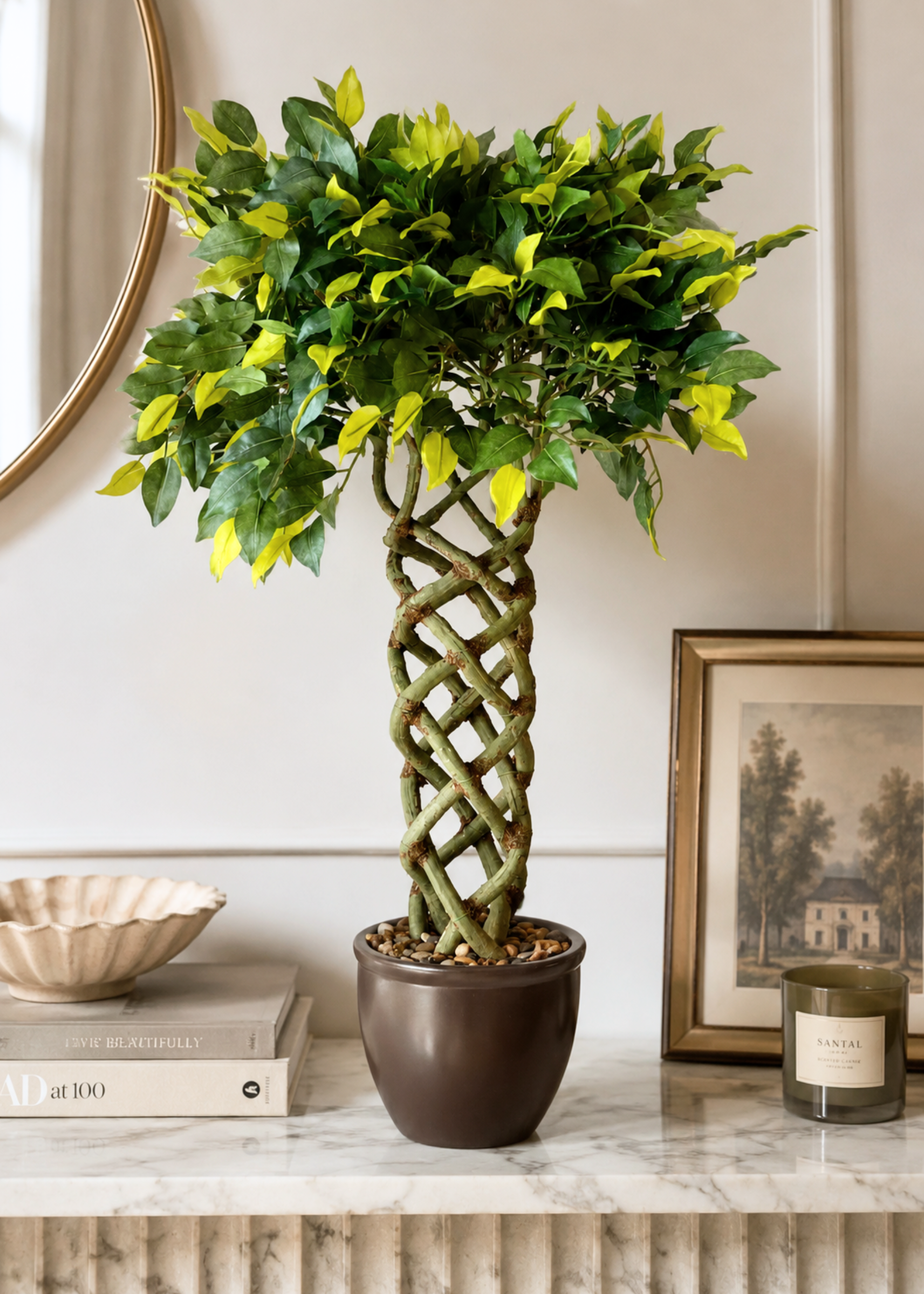 Artificial Braided Ficus Topiary Plant - 2.3 Feet