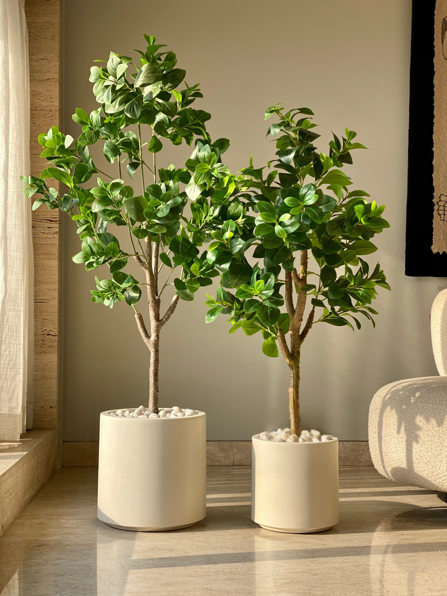 Artificial Dense Peperomia Plant - 5 Feet