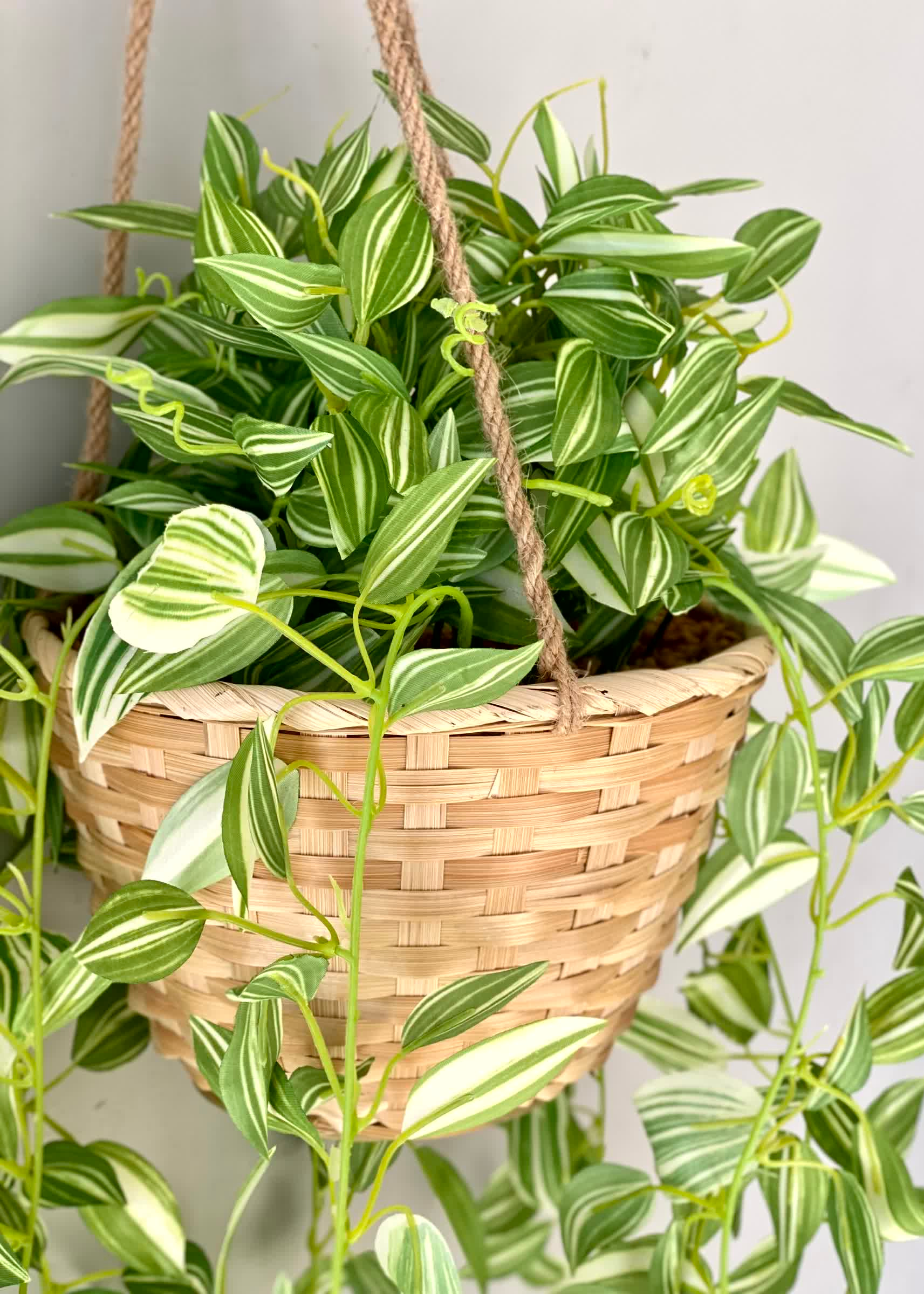 Artficial Wandering Jew Hanging Plant