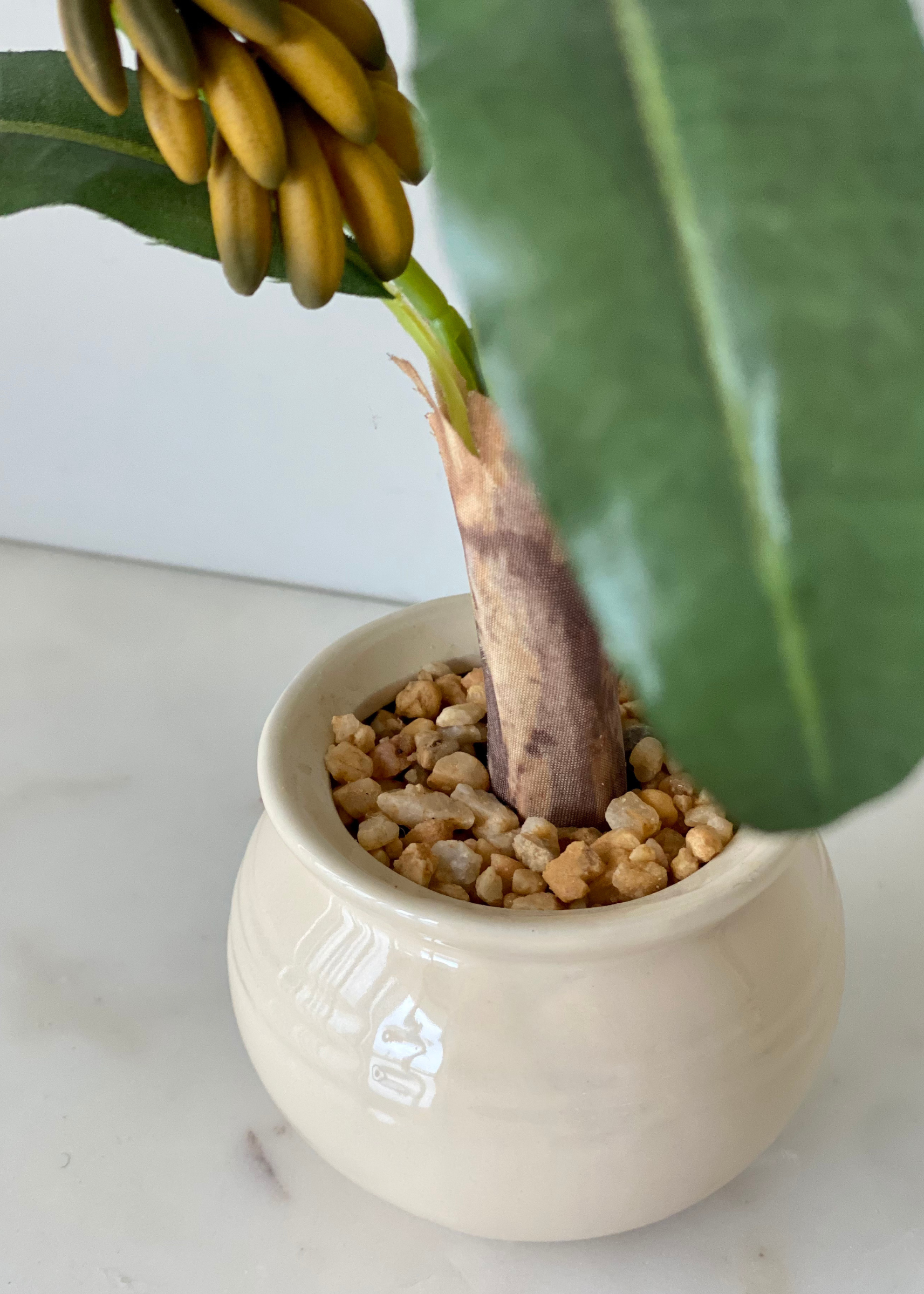 Artificial Tropical Banana Bonsai Plant