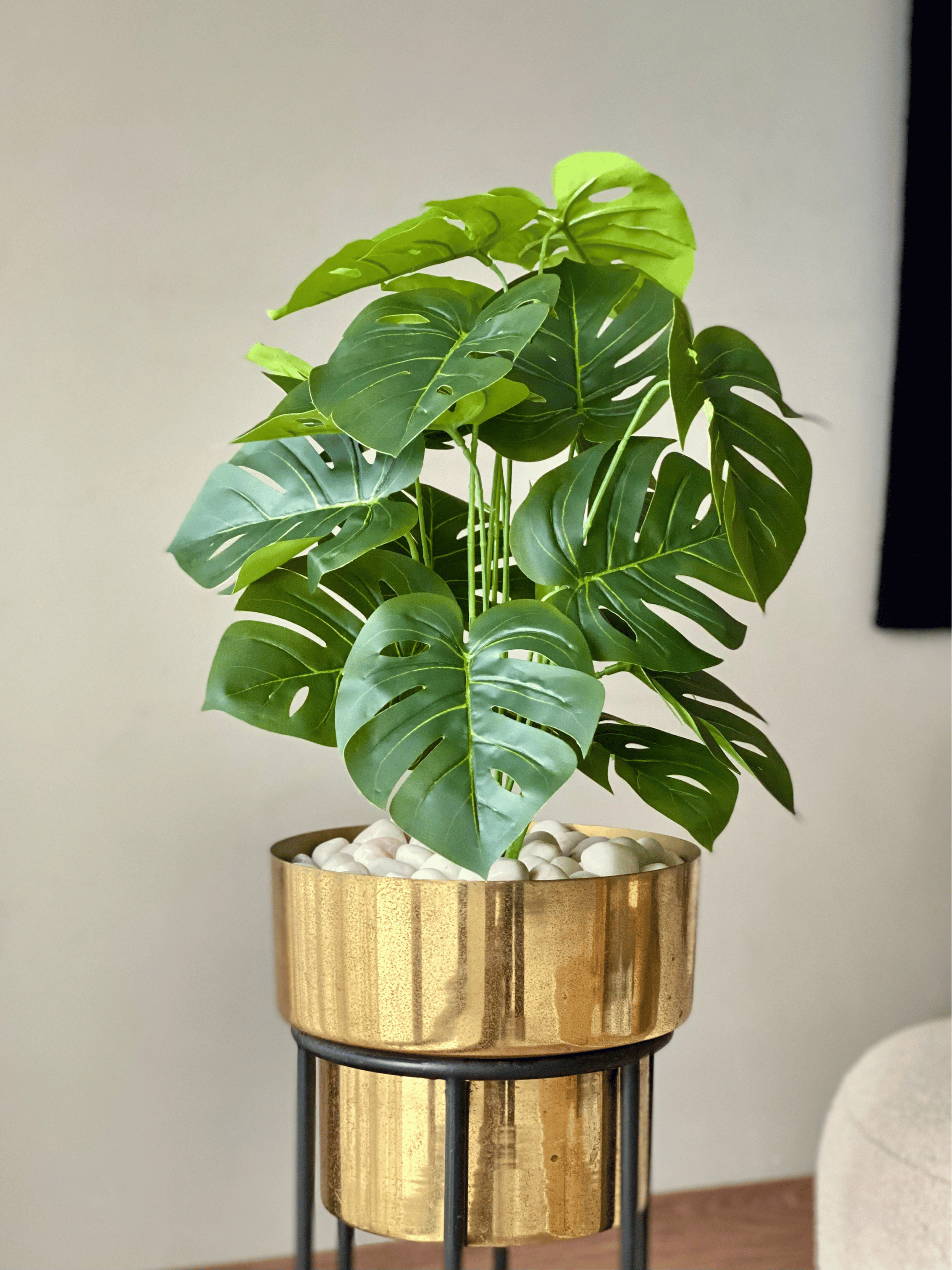 Artificial Botanic Monstera Plant- 2 Feet