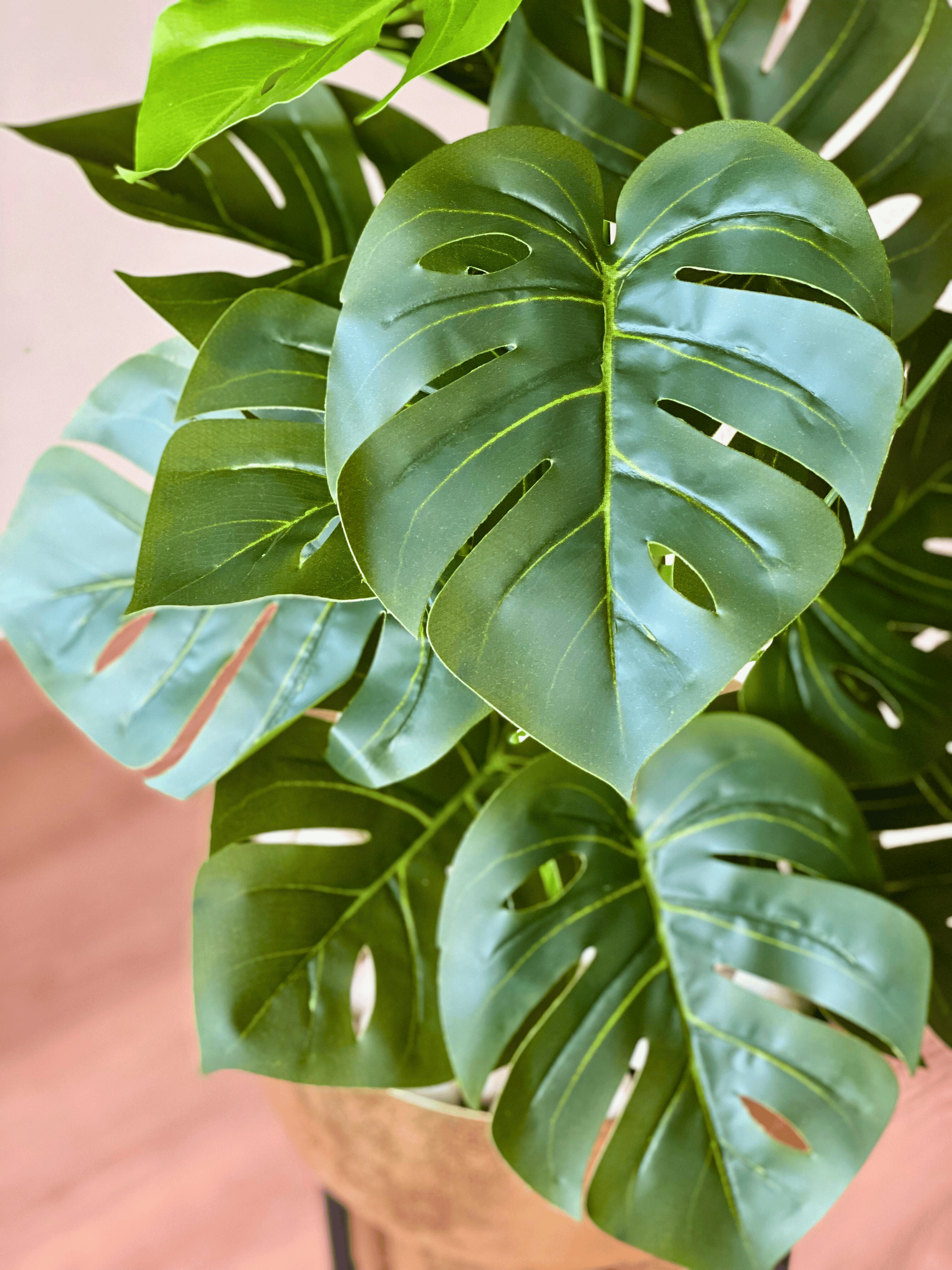 Artificial Botanic Monstera Plant- 2 Feet