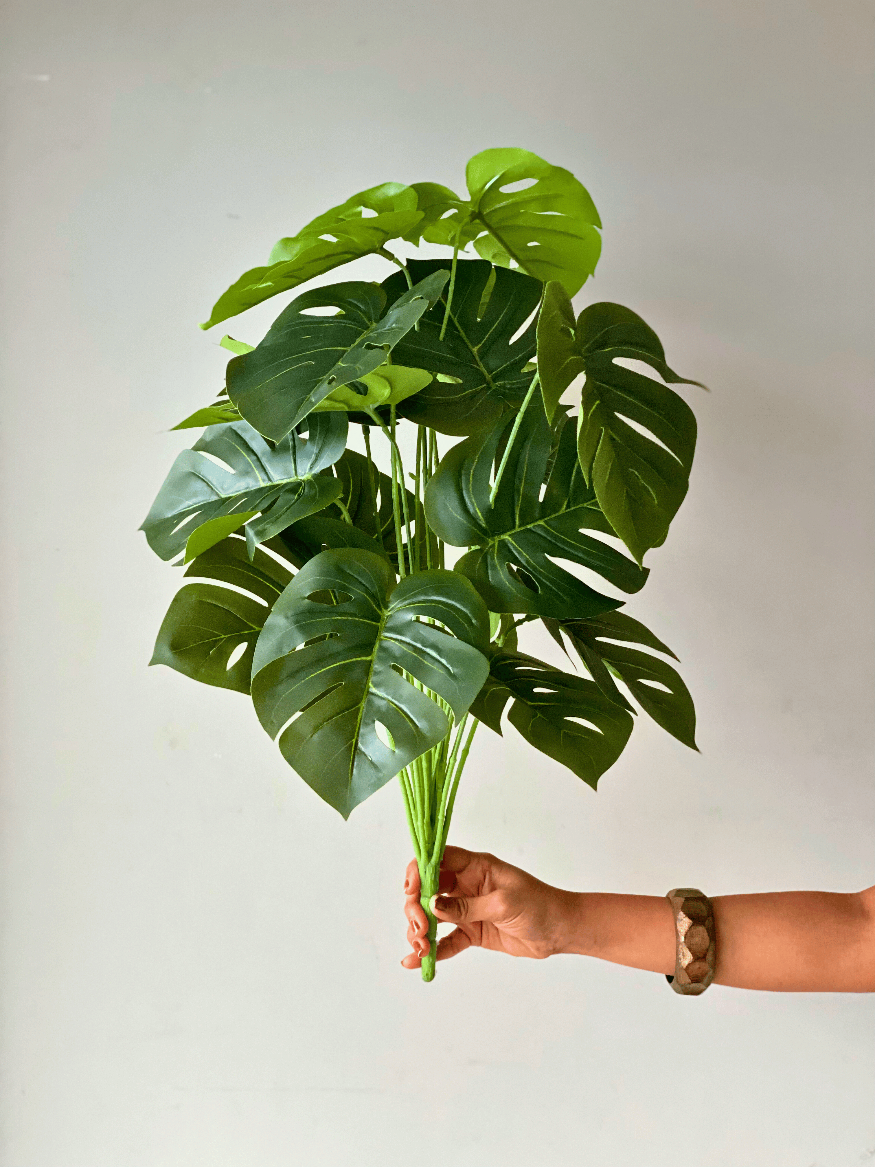 Artificial Botanic Monstera Plant- 2 Feet
