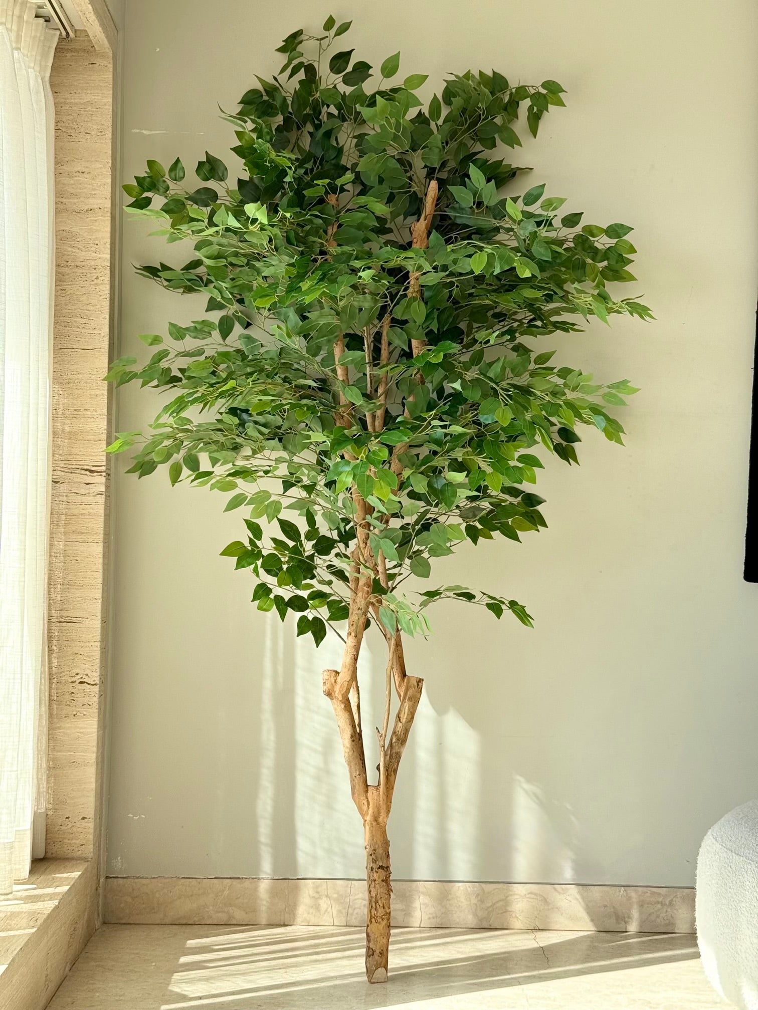 Artificial Grove Ficus Plant - 7 Feet