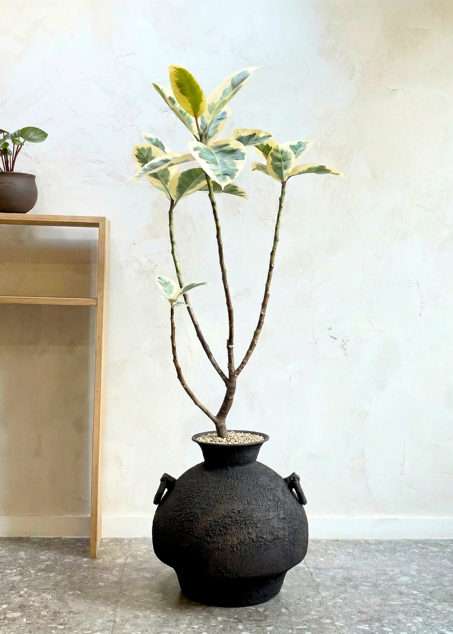 Claystone Amphora Planter